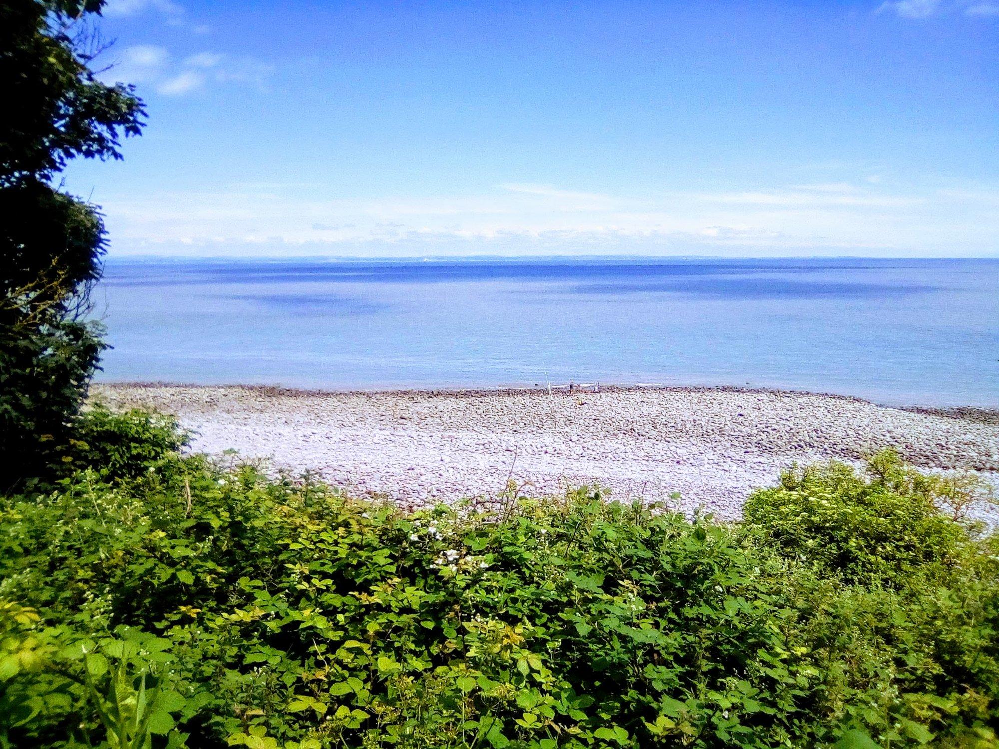 South West Coast Path - Culver Cliff Woodland Walk