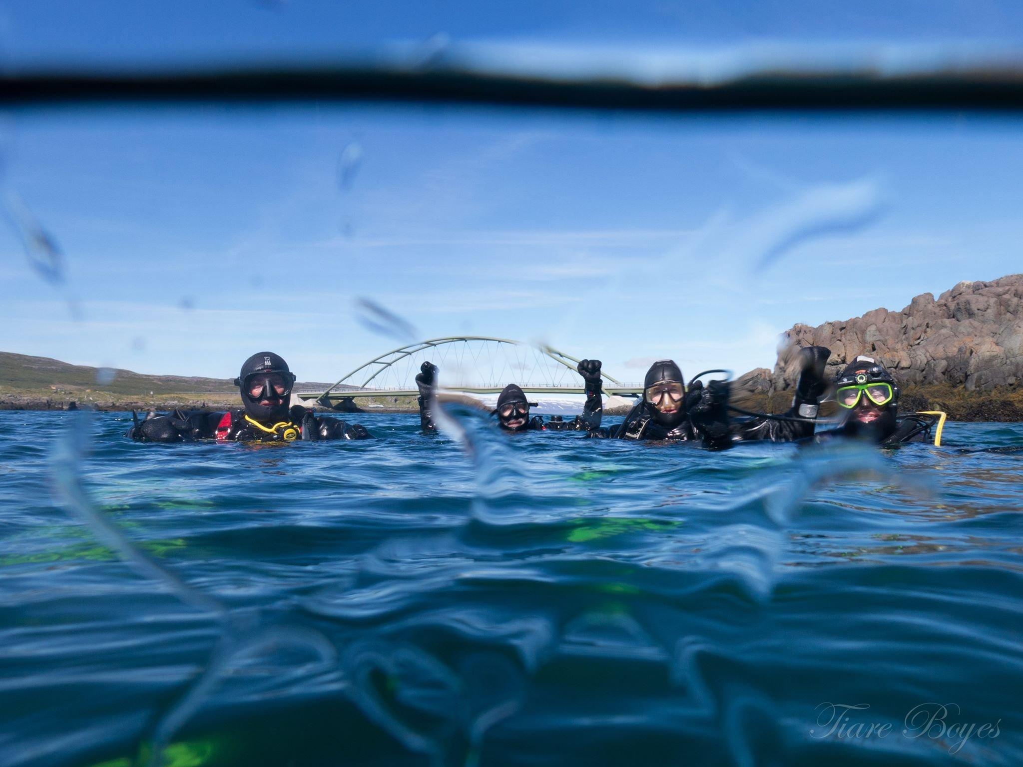 Dive Westfjords