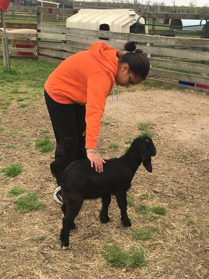 Suffolk County Farm & Education Center