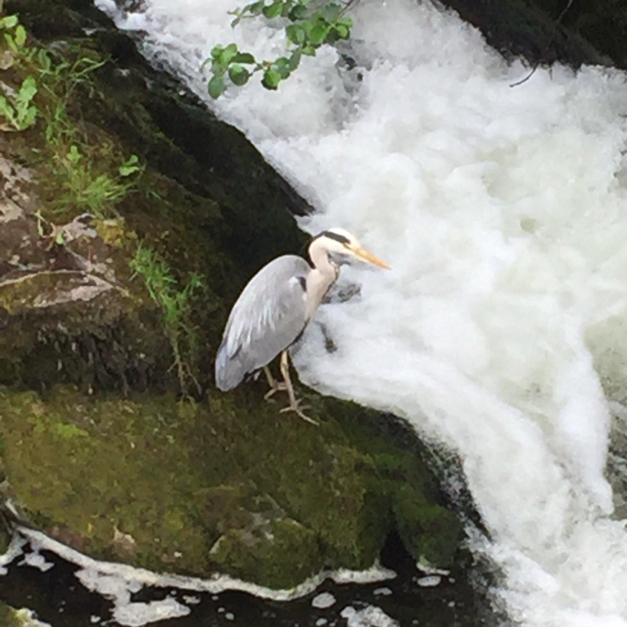 Photo by ChristopherP501