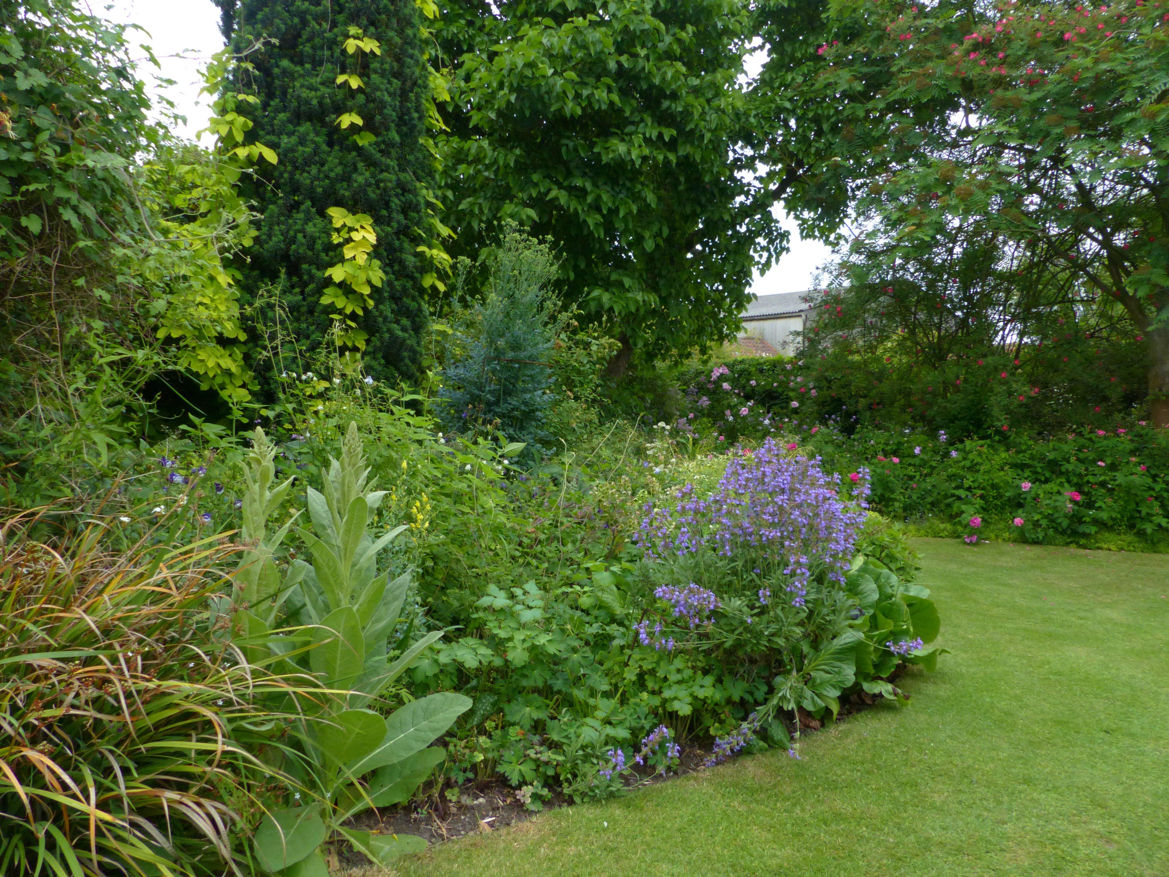 Stillingfleet Lodge Gardens