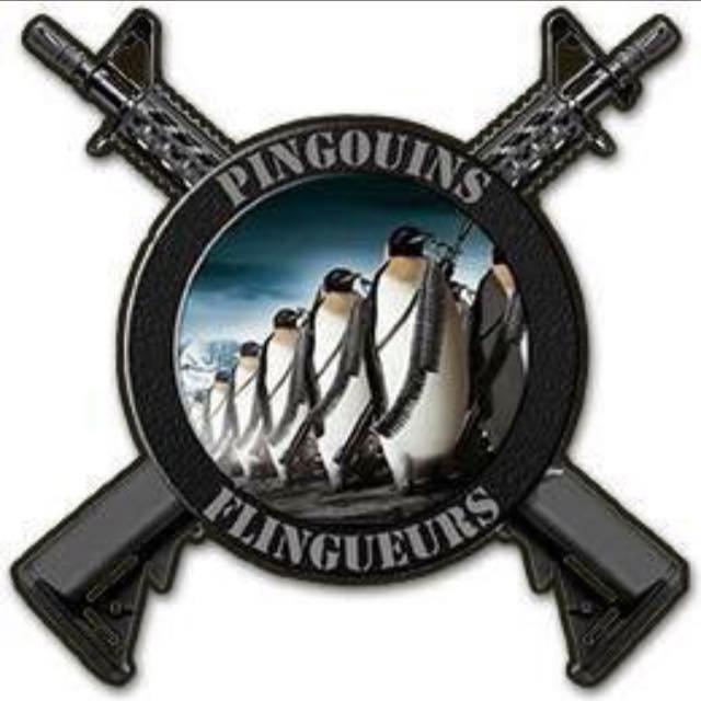 Les Pingouins Flingueurs AAL