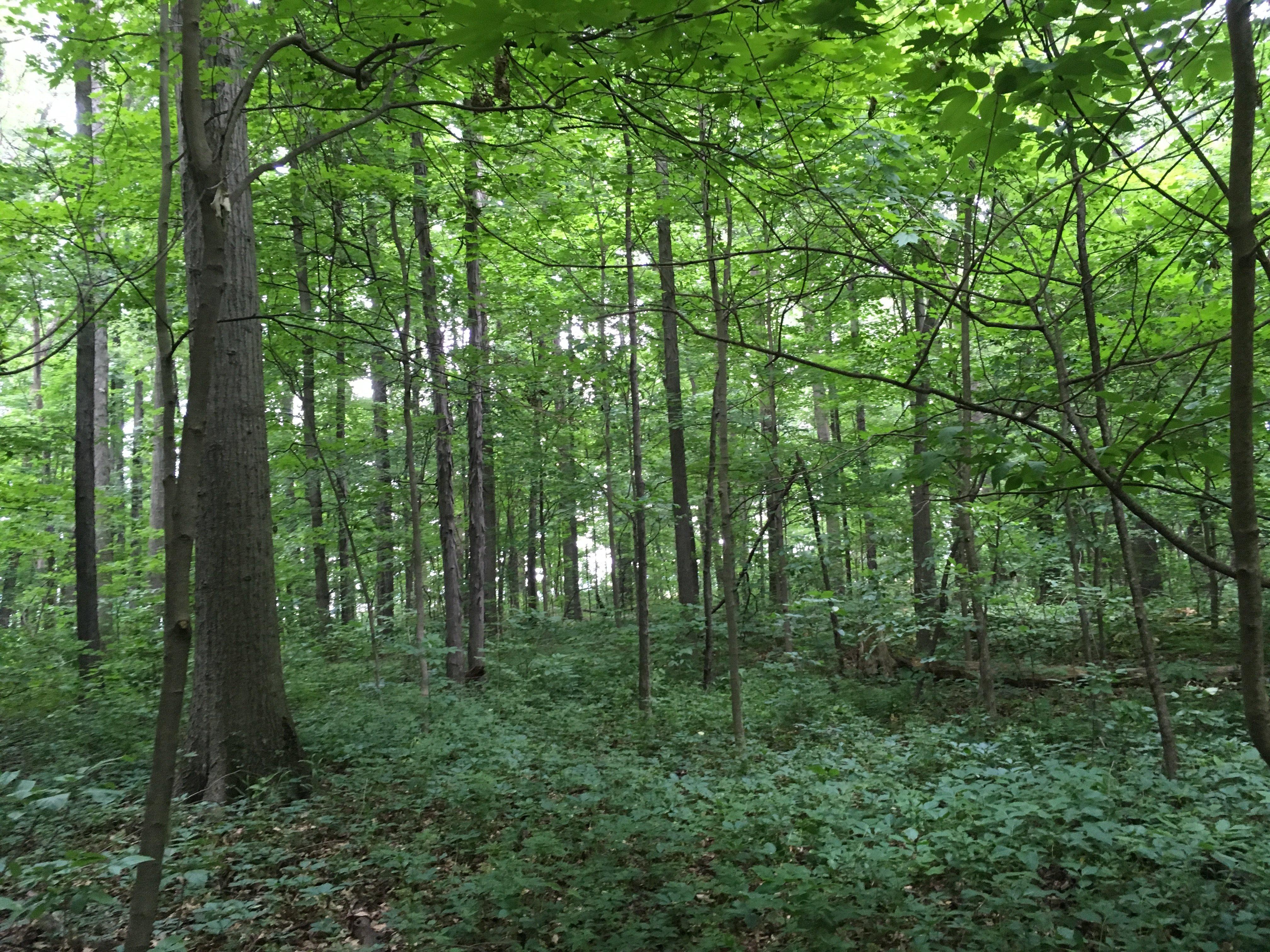 Photo by Lulu788012h