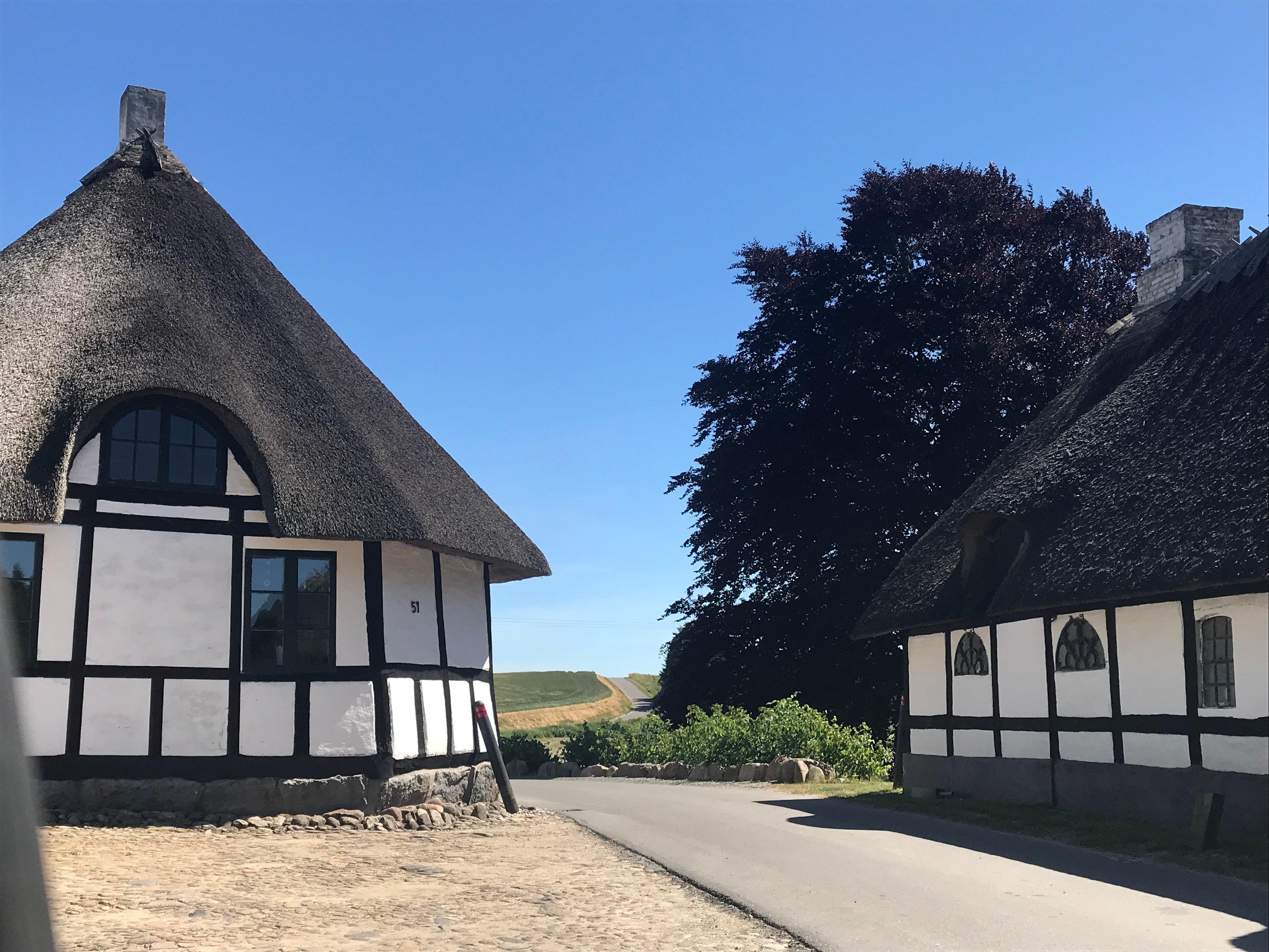 Tvaerskov Molle v/Esther Larsen