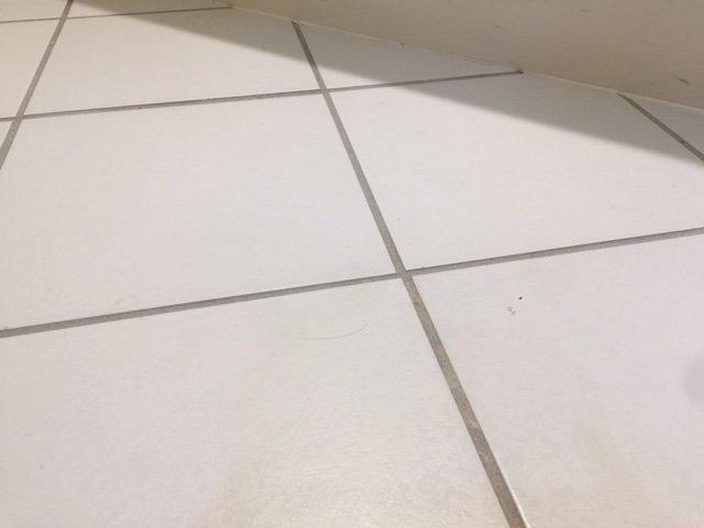 Quality Inn & Suites Pearl-Jackson