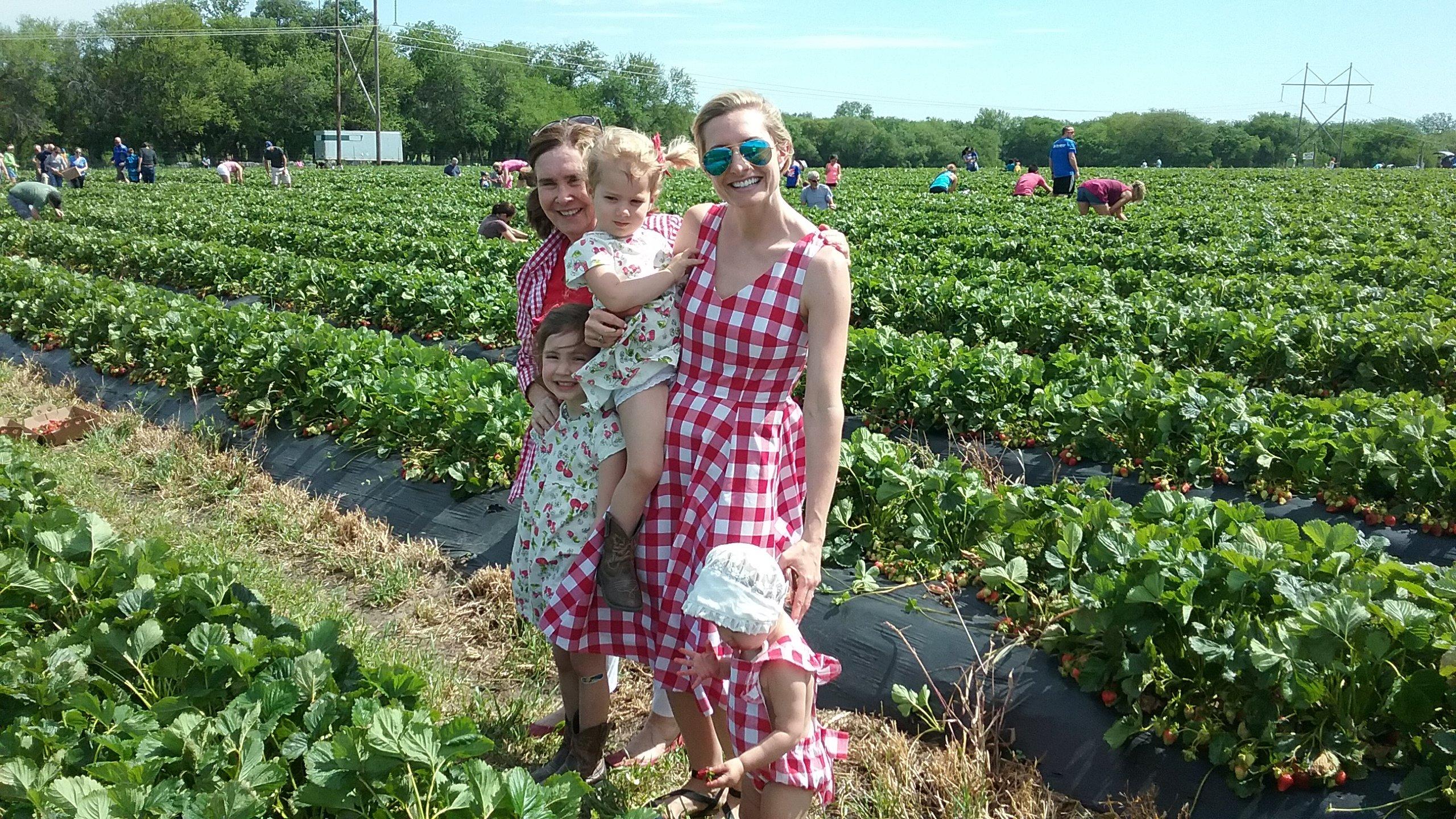 Gieringers Family Orchard & Berry Farm