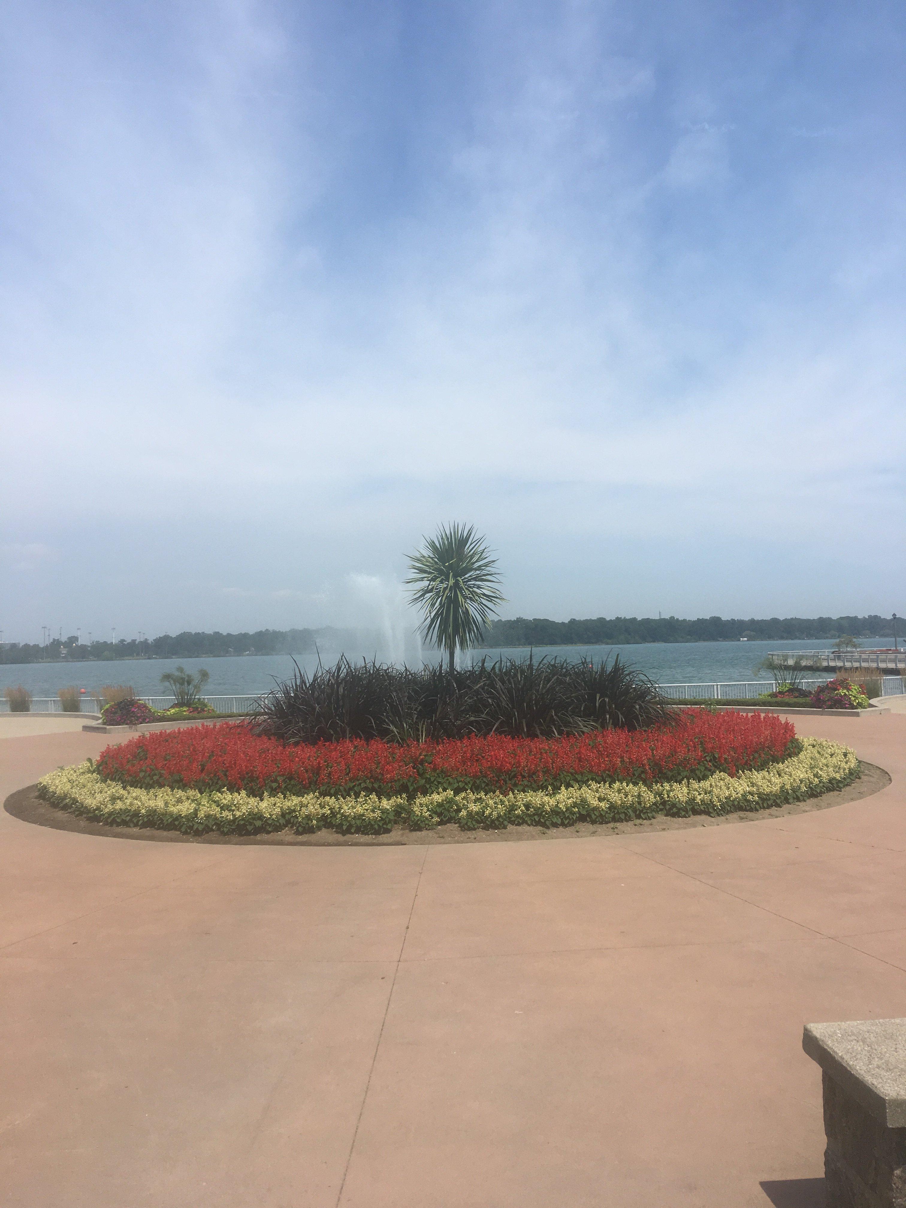 Photo by rrosiegonzalez