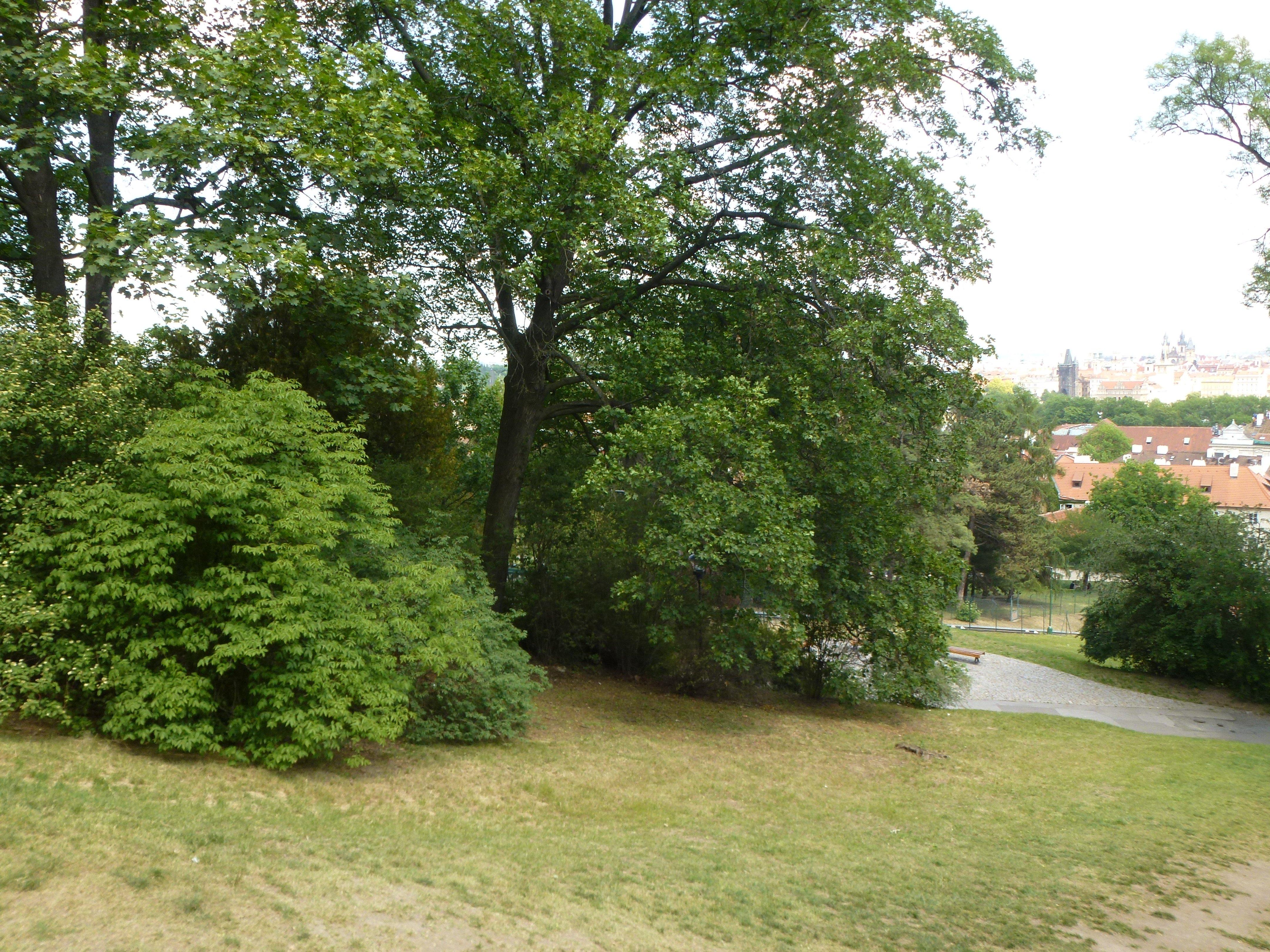 The Seminary Garden
