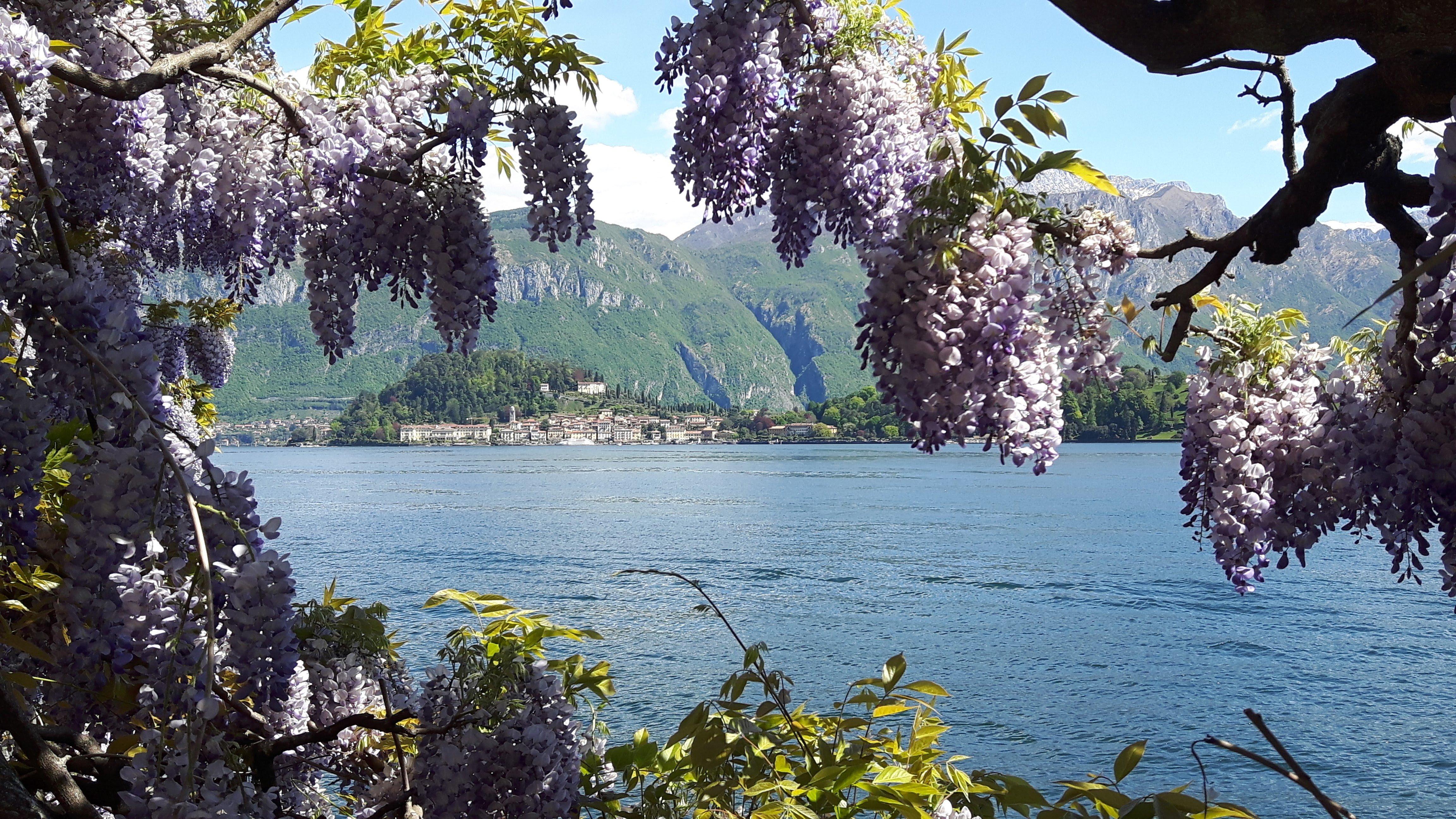 My Lake Como Concierge
