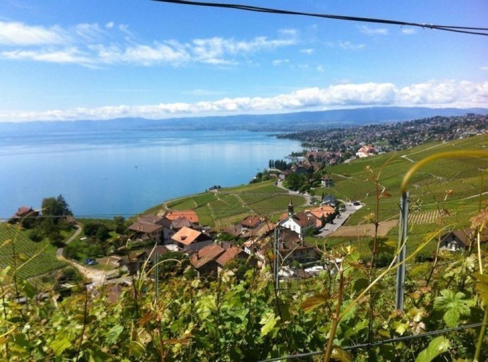 Le caveau des vins de Villette