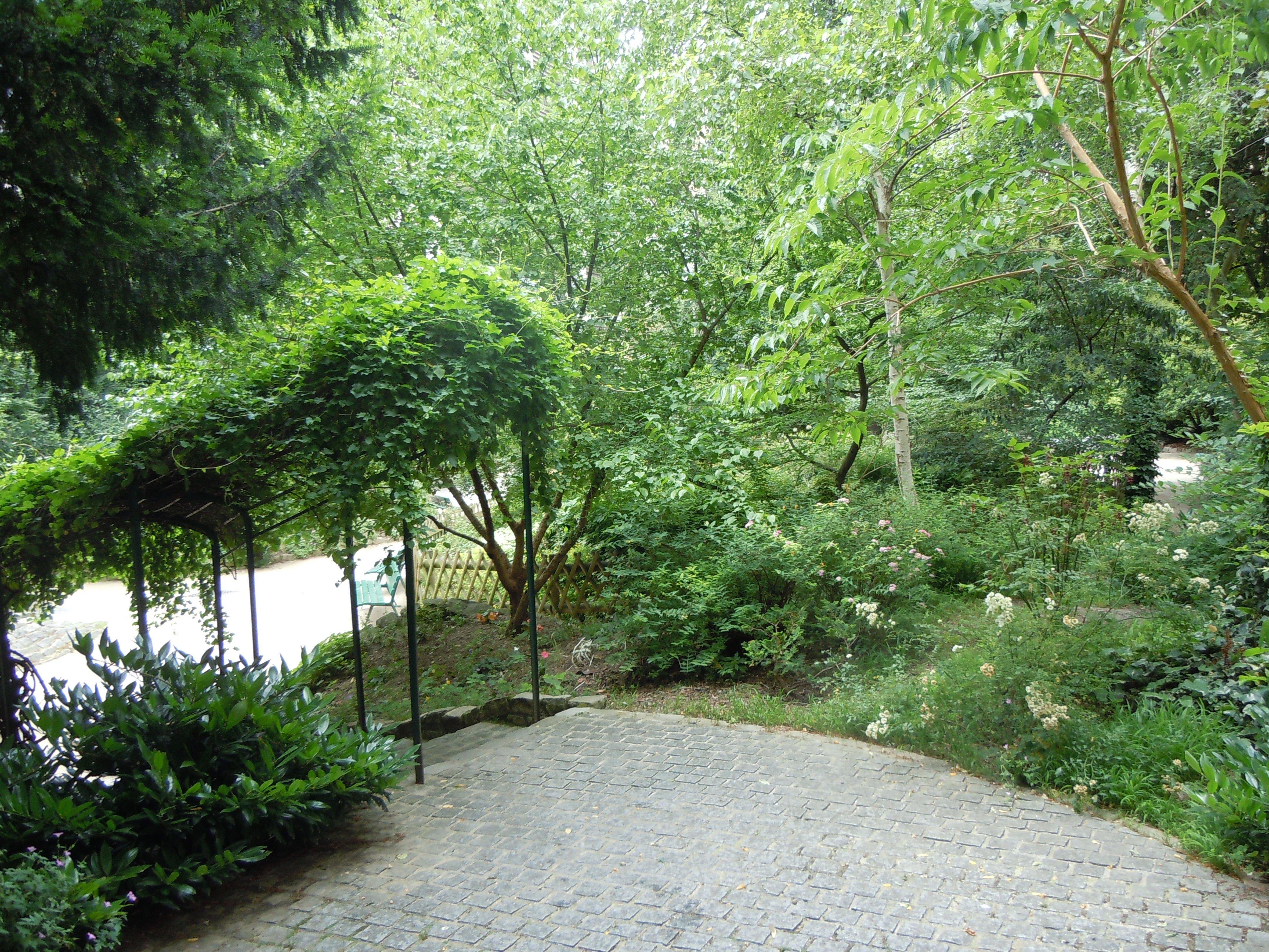 Square Roger Stephane