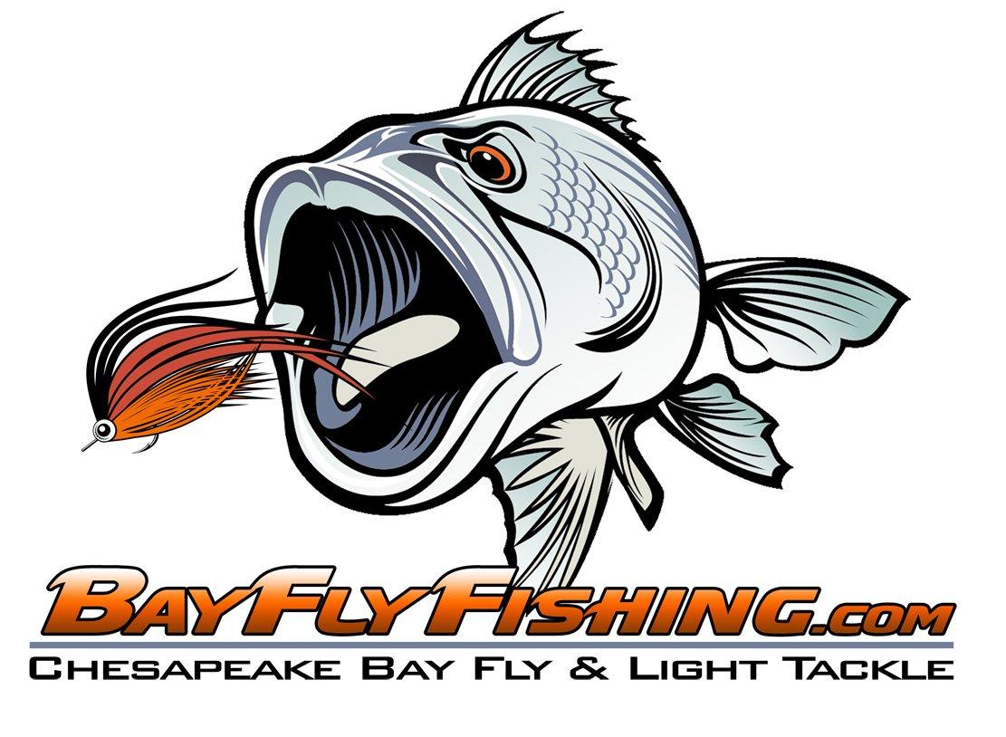 Bay Fly Fishing