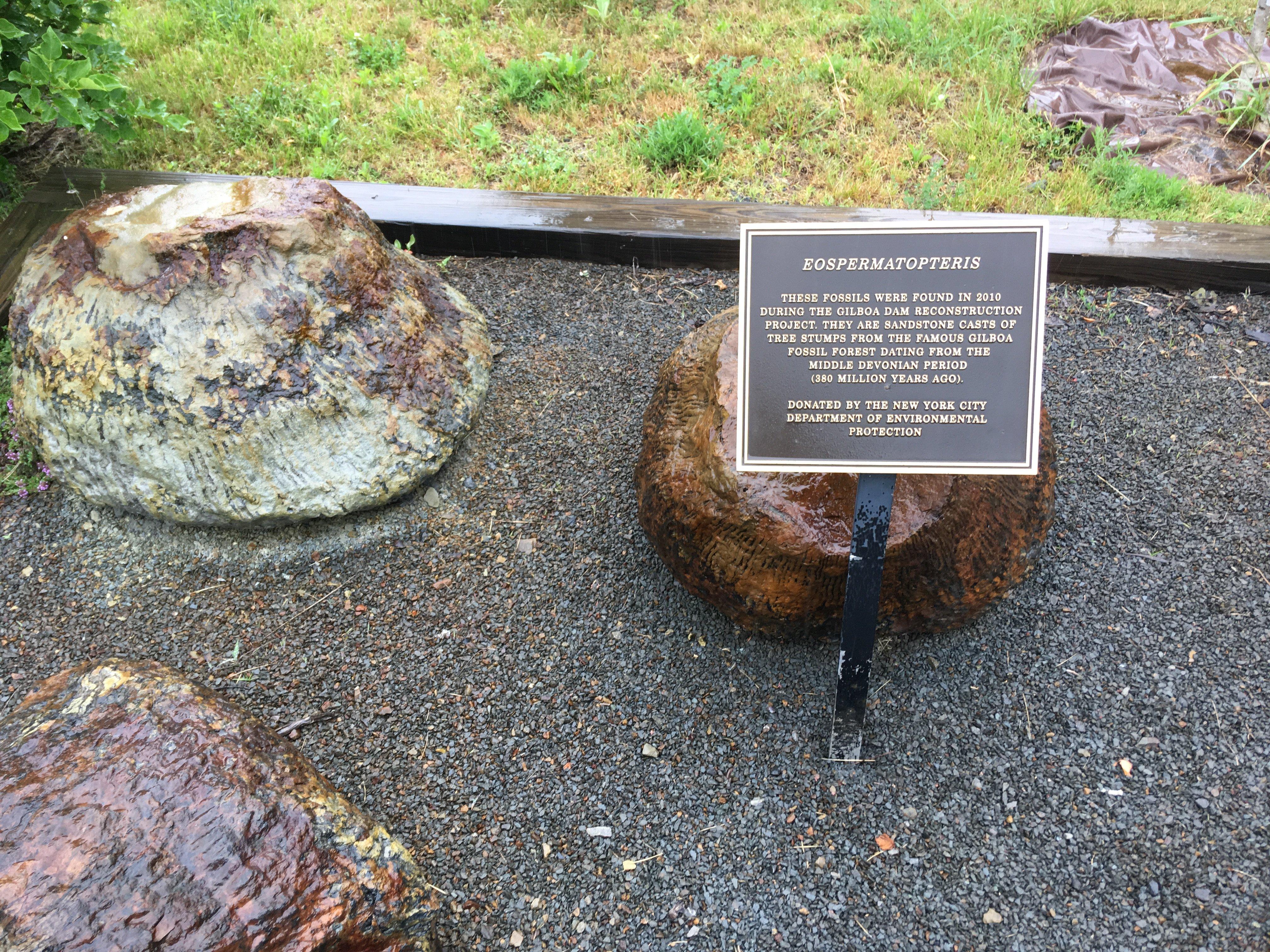 Photo by CSSnowshoer