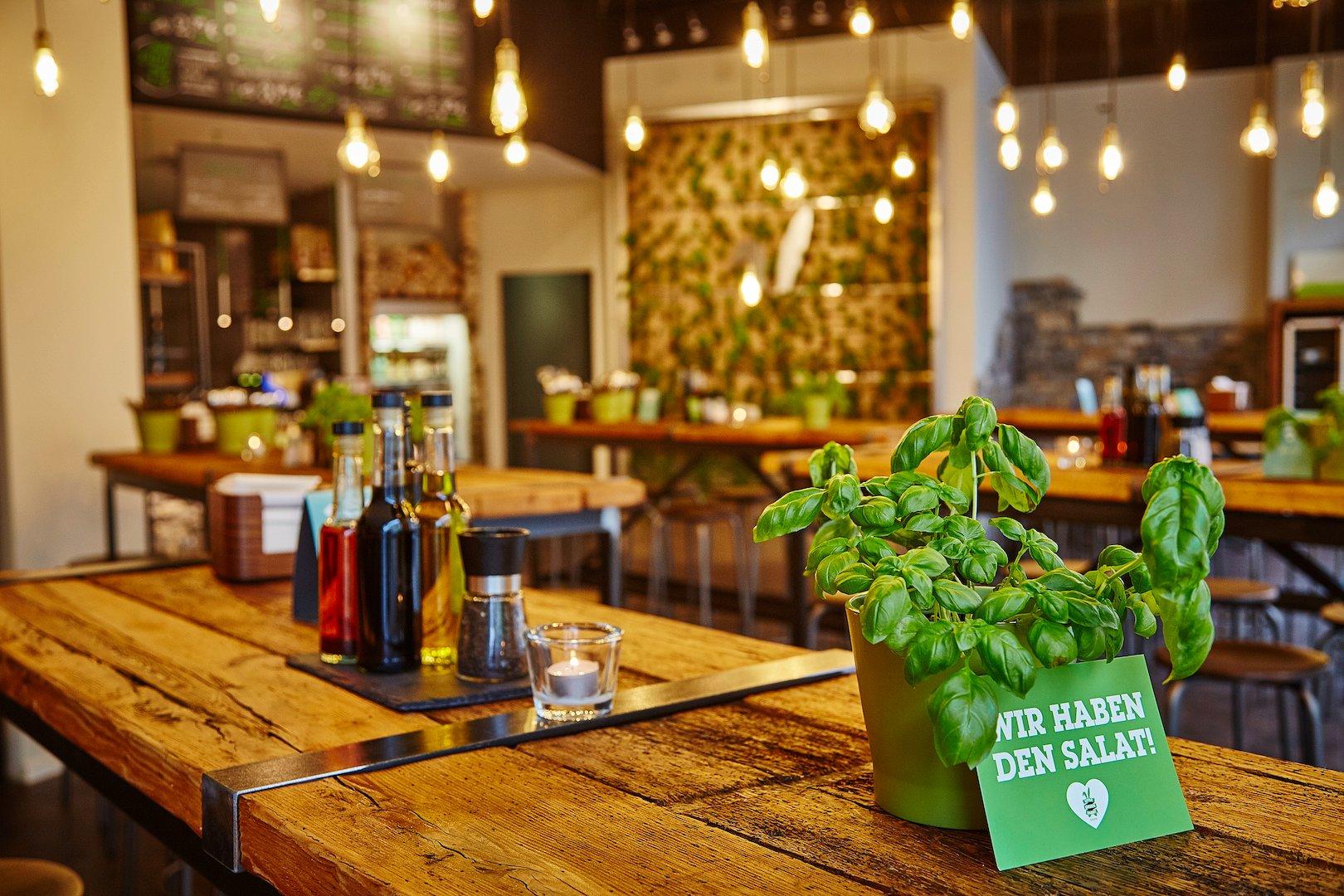 Little Green Rabbit - Checkpoint Charlie