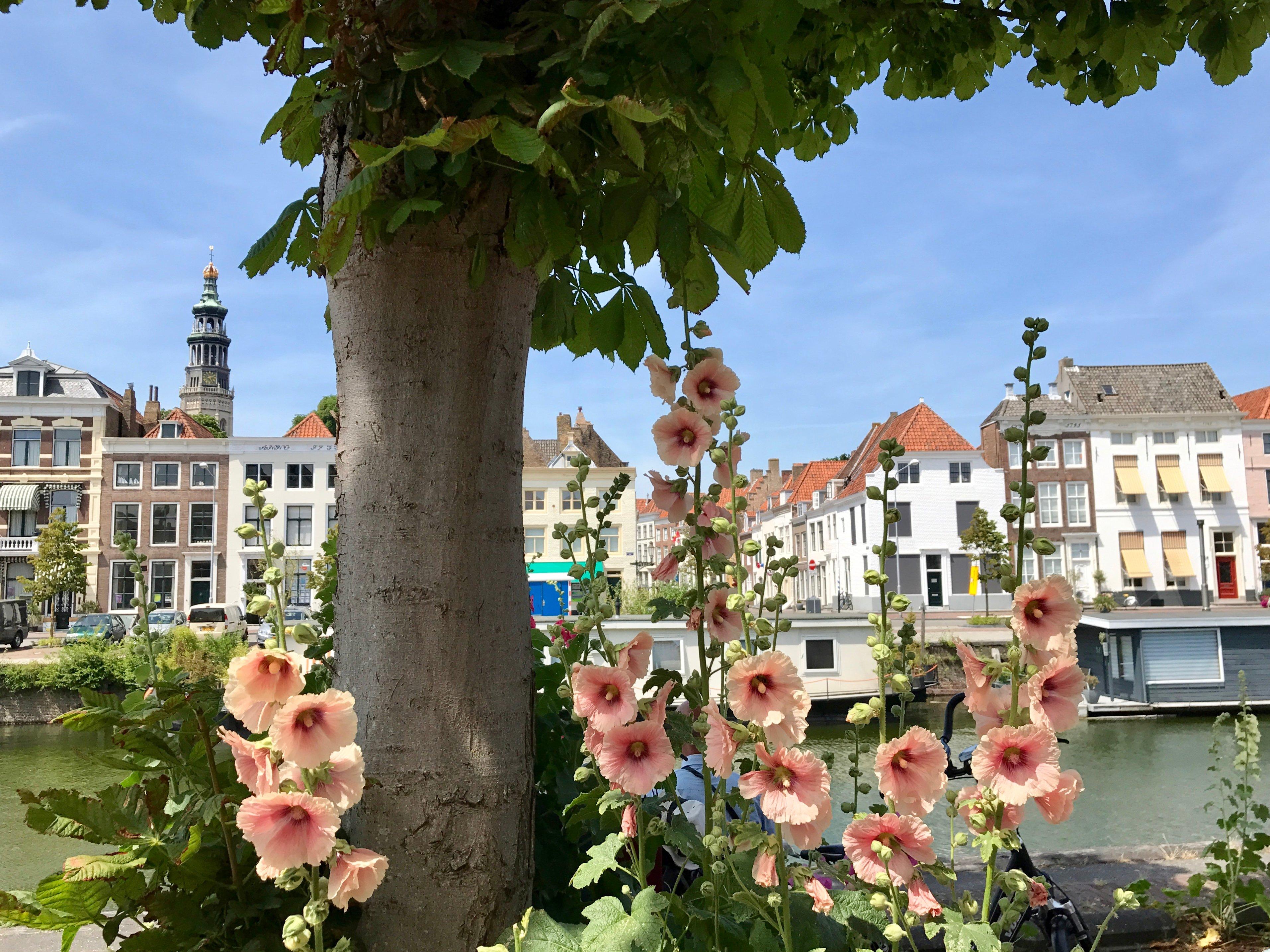 Staswandeling met gids Middelburg