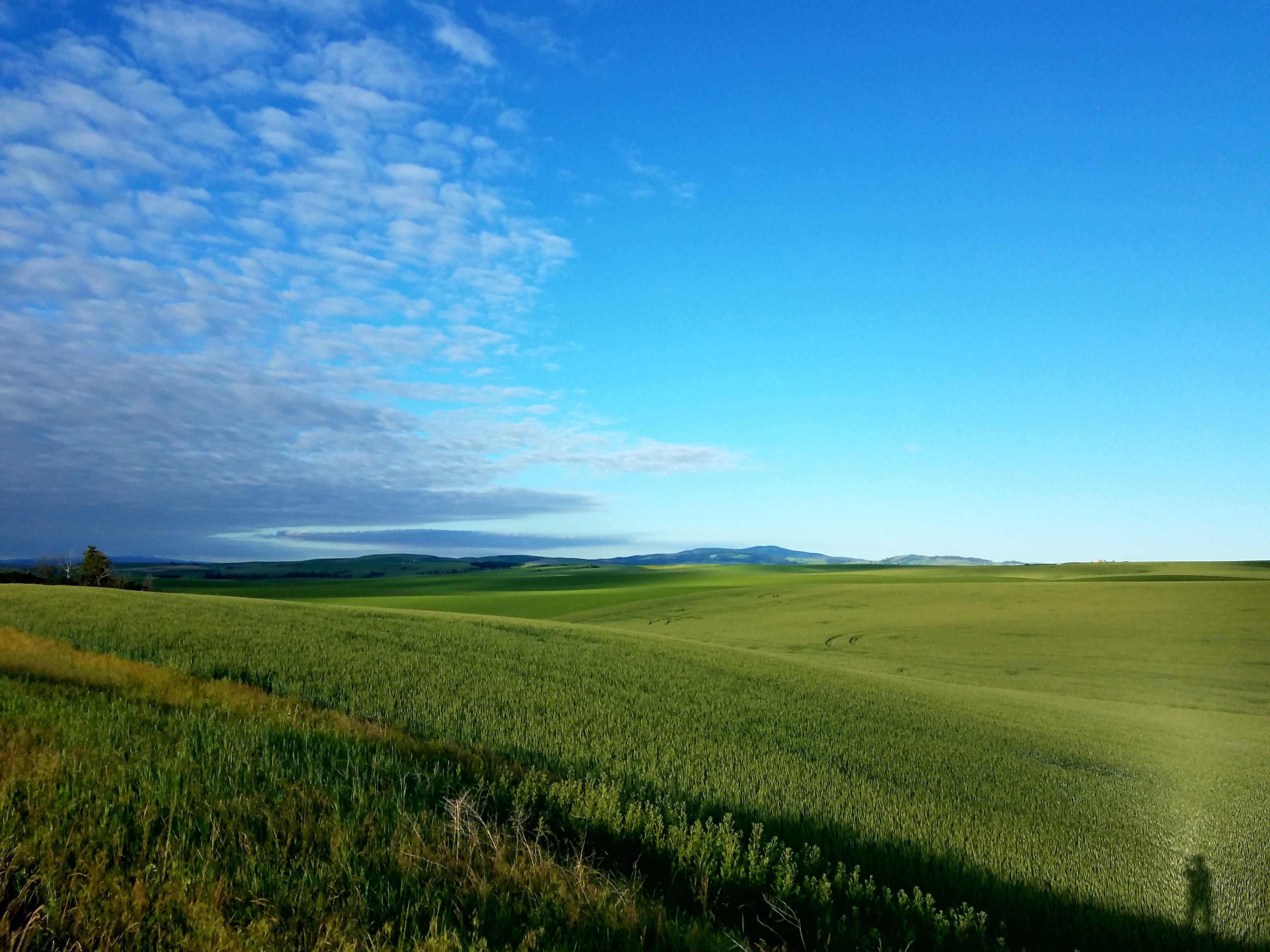 Nezperce Hotel & Restaurant