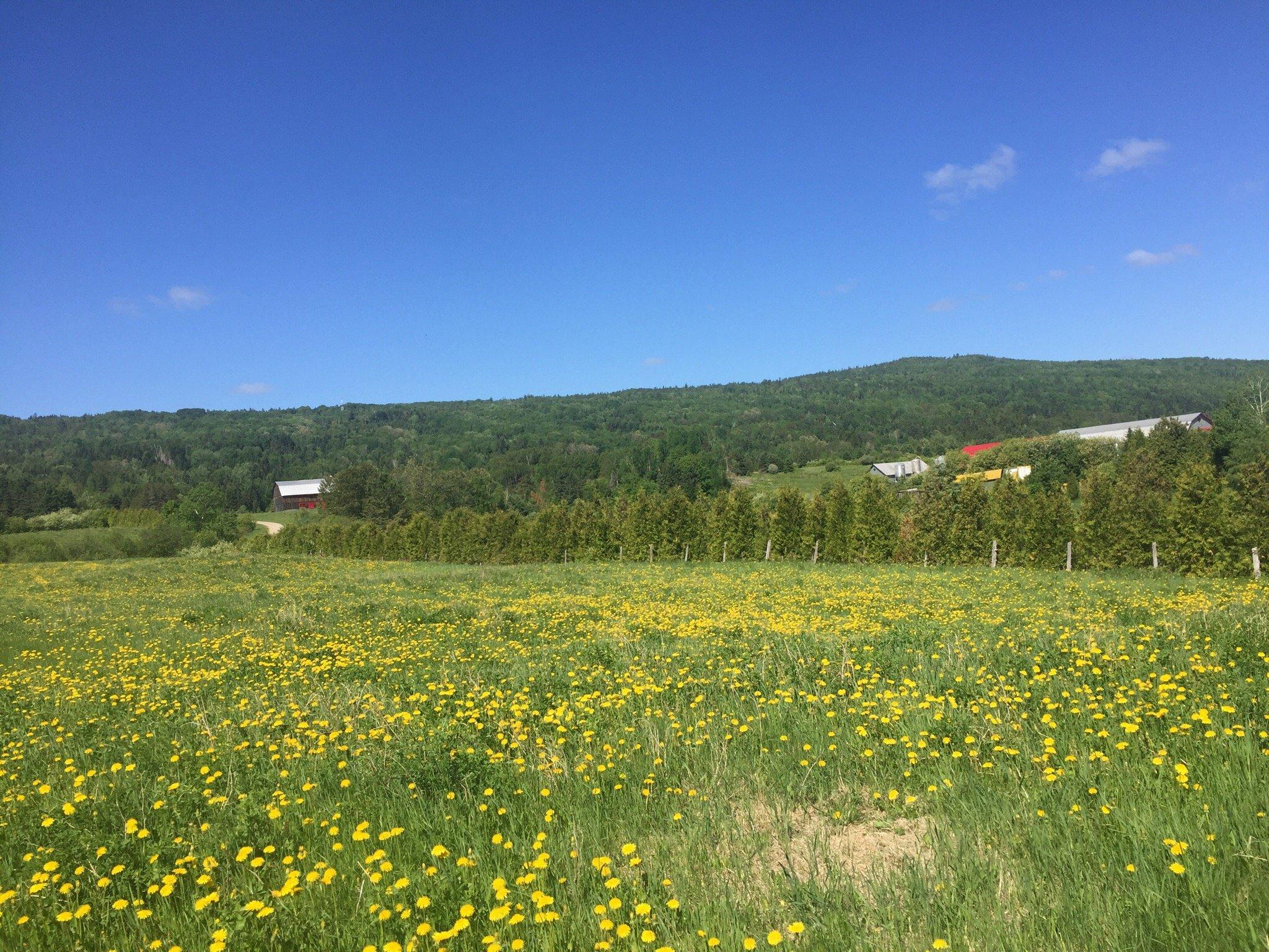 Gite Chez Gertrude - Charlevoix