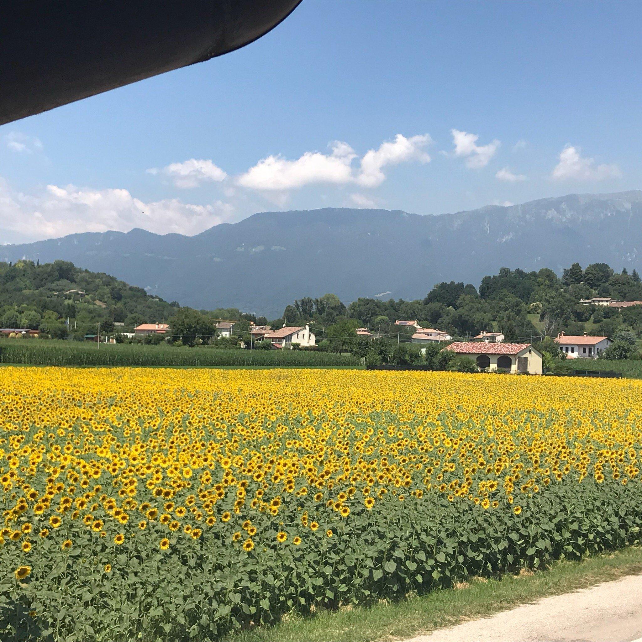 Trattoria all'Alpino da Cioro