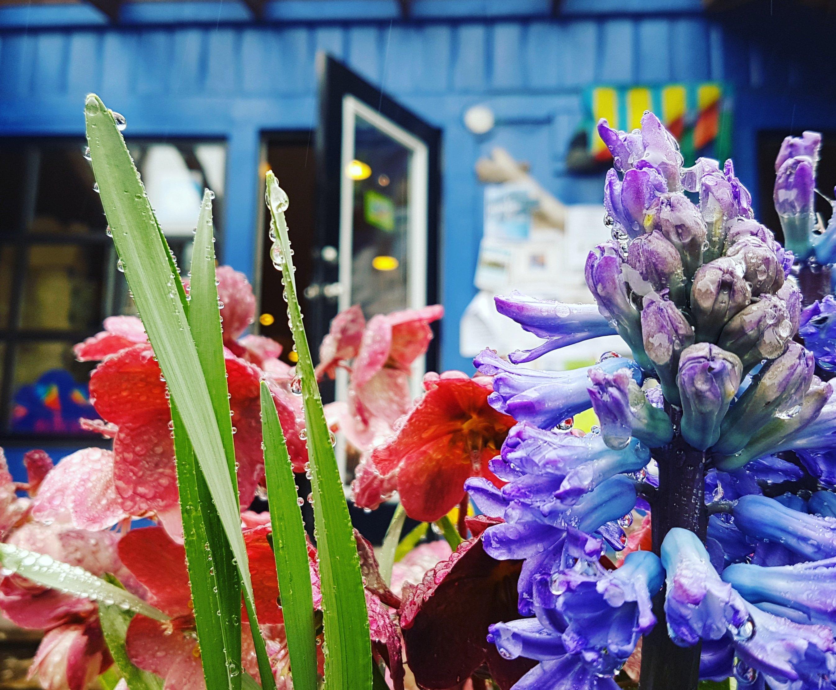 Mermaid Tales Bookshop