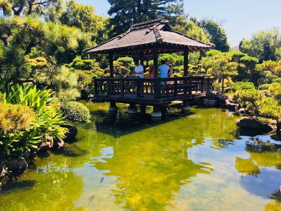 Hayward Japanese Gardens