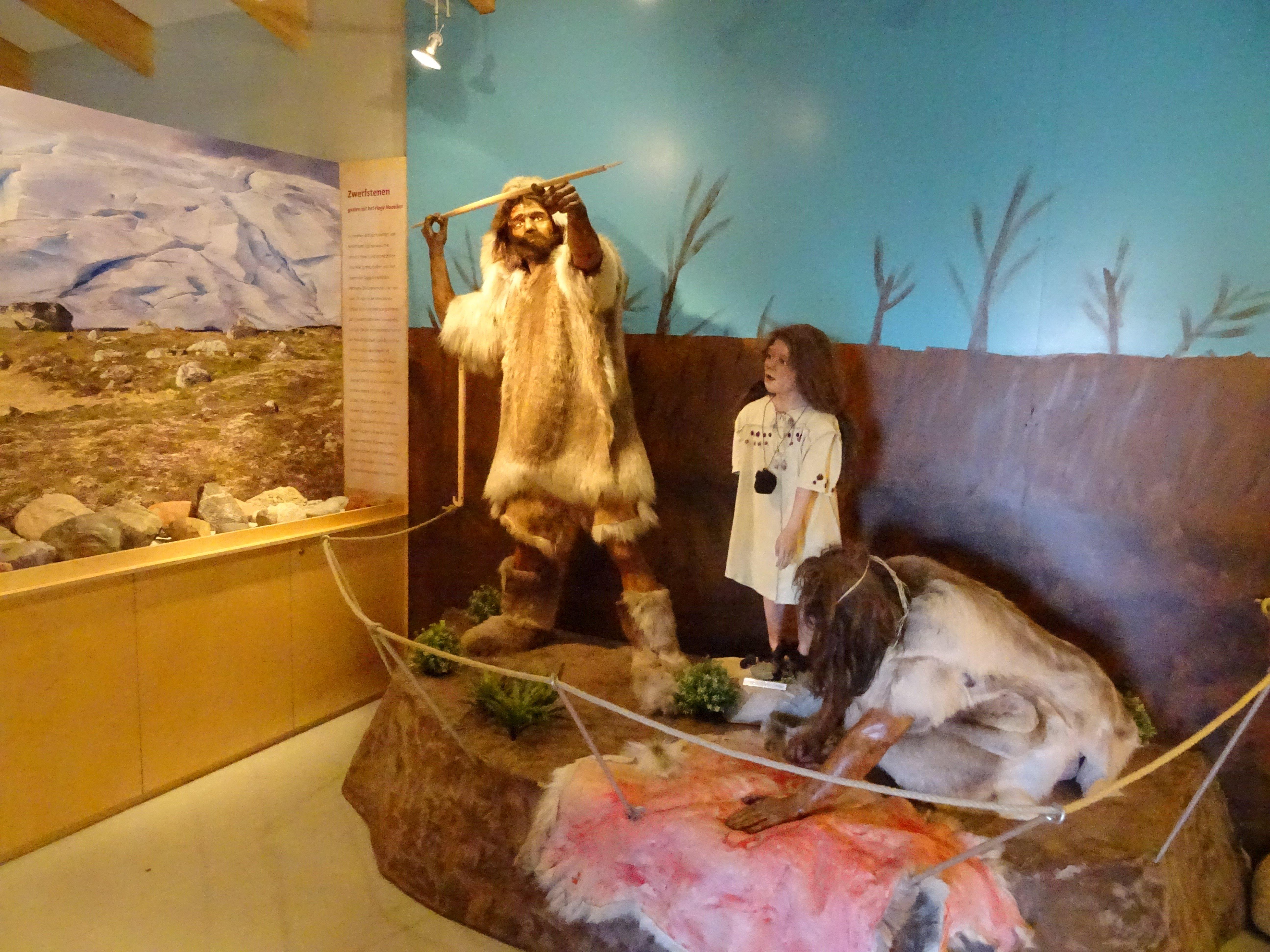 Stichting IJstijdenmuseum