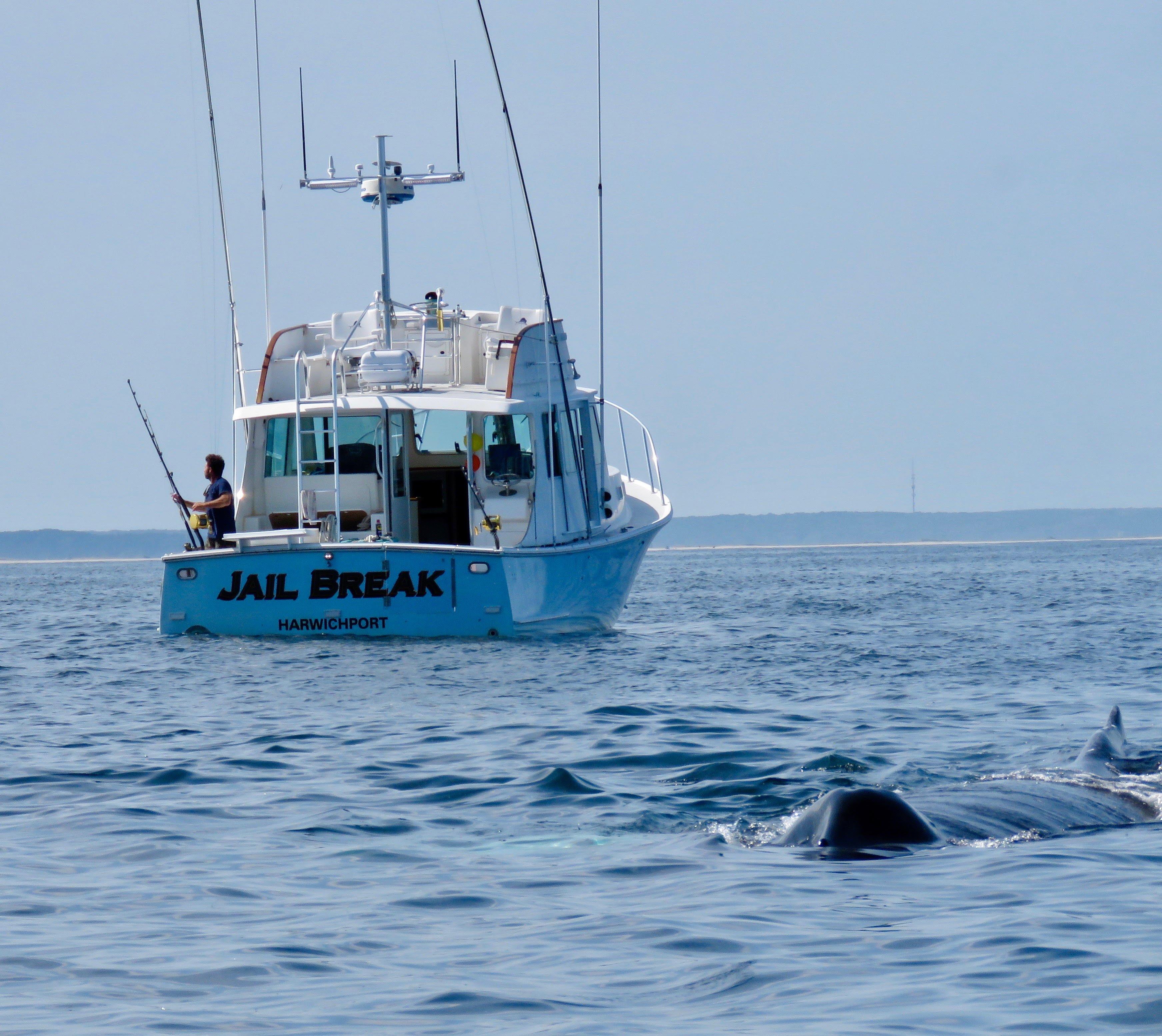 Jail Break Fishing Charters