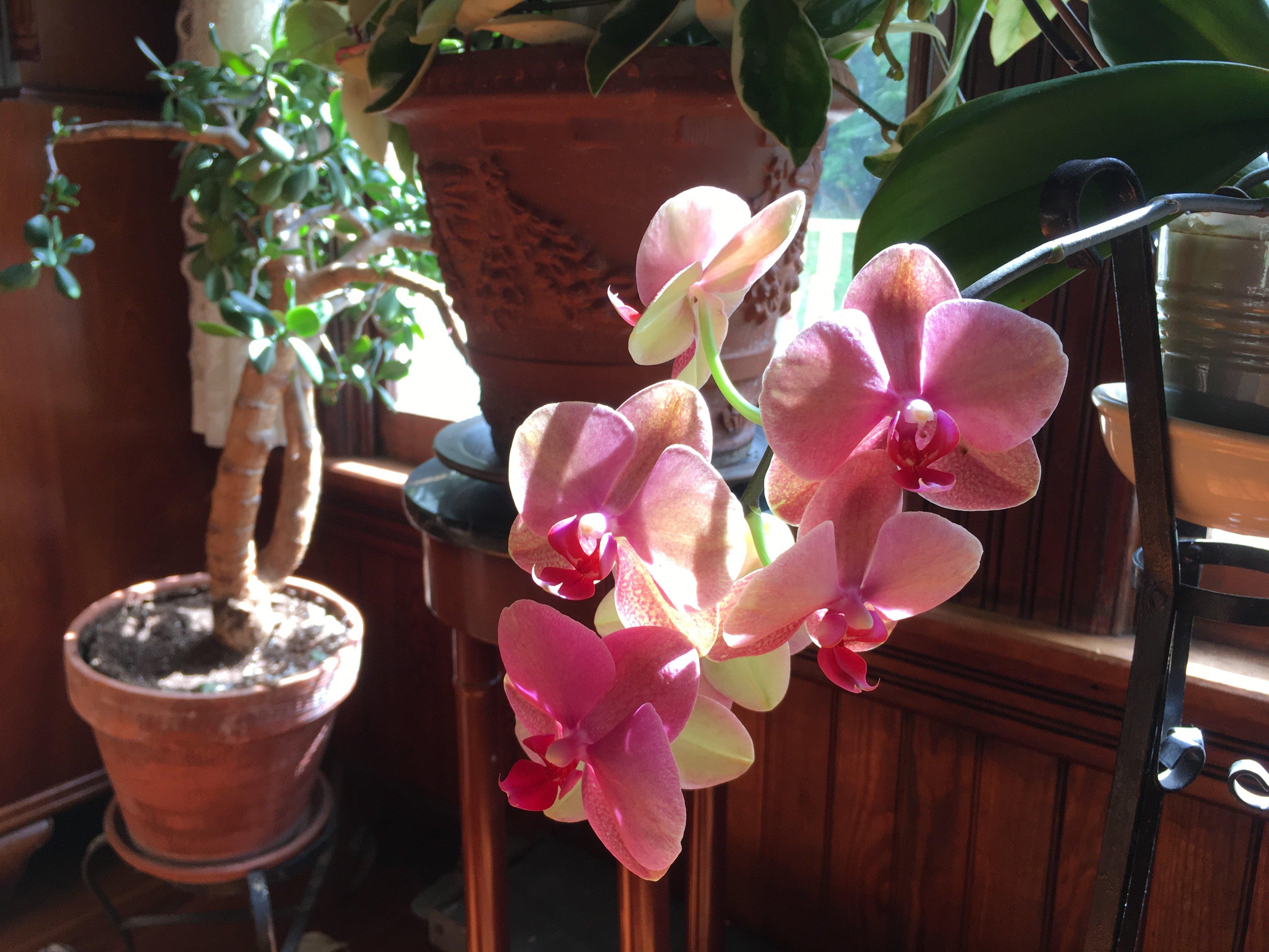 Photo by dmartiniup2018