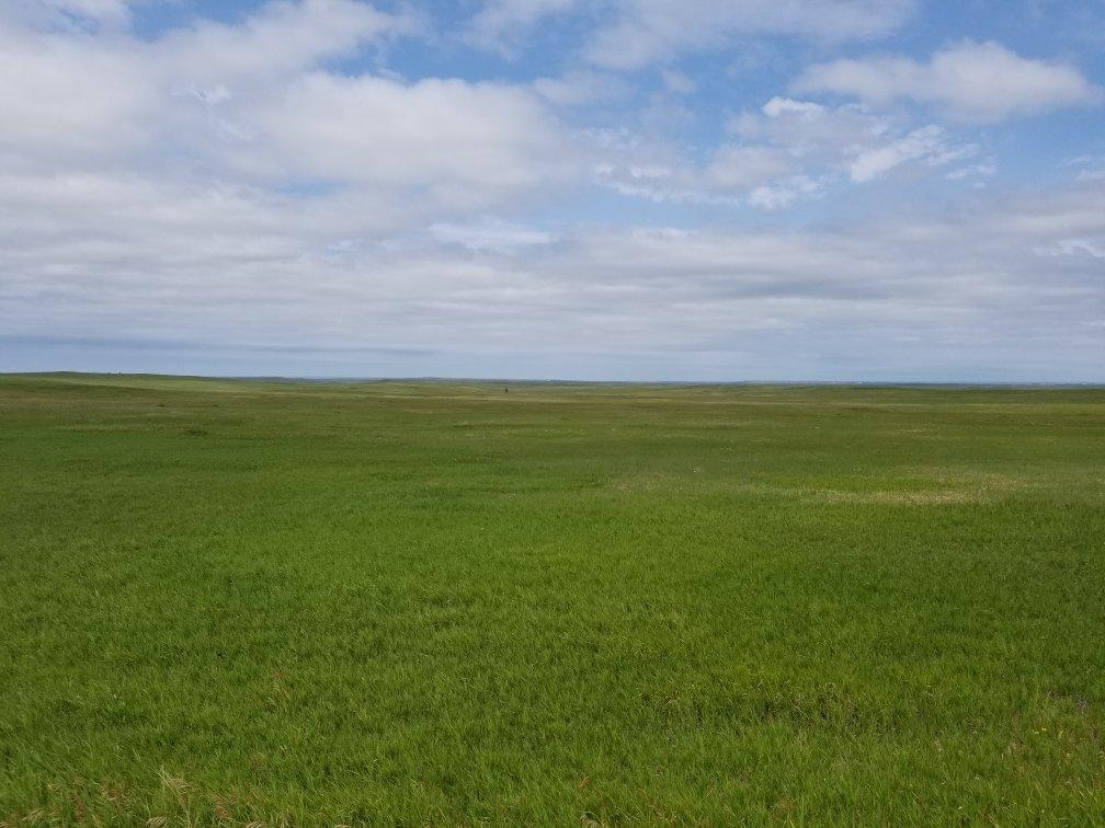 Photo by williamo126