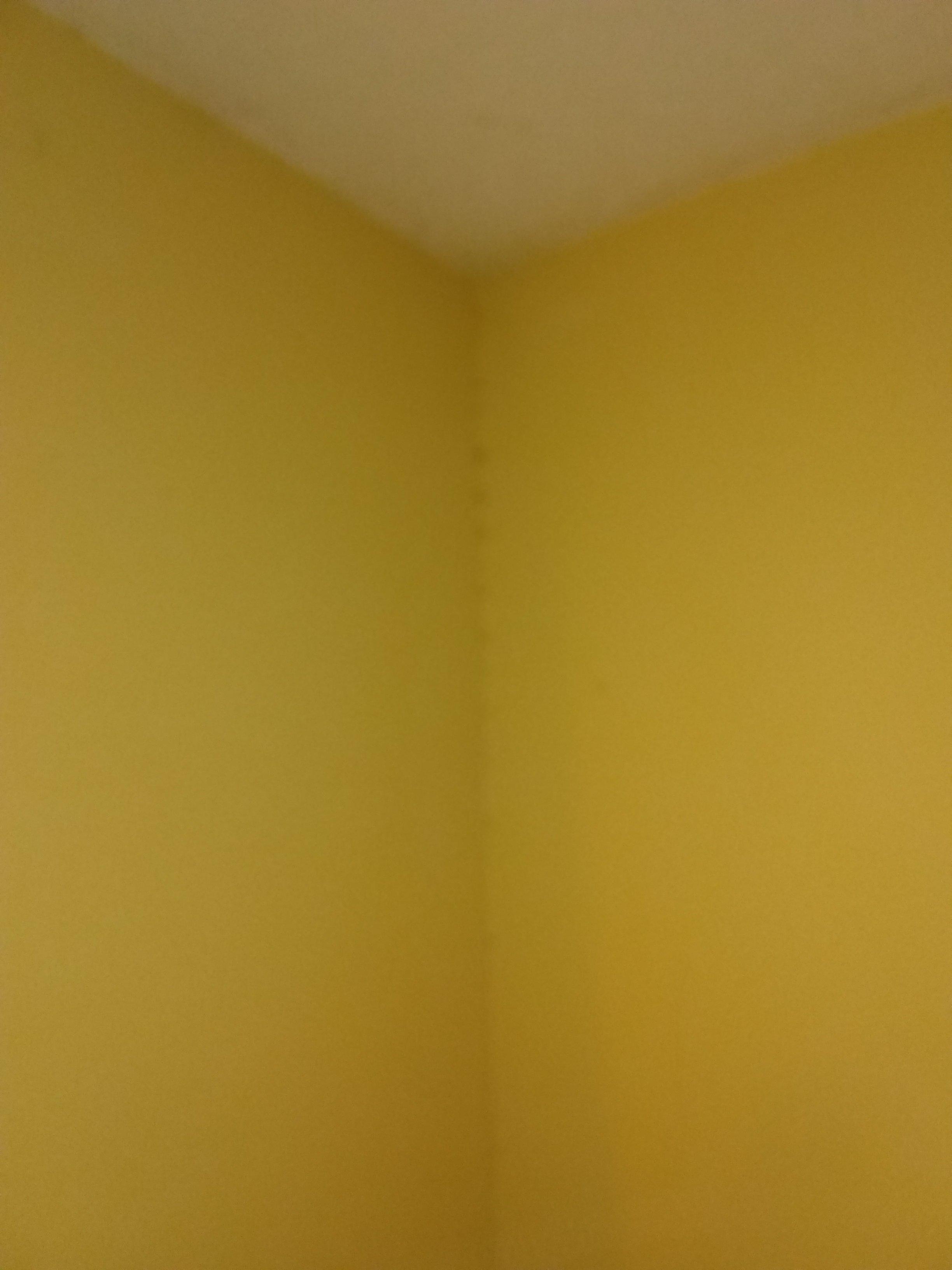 Photo by dougsimmonshvac01