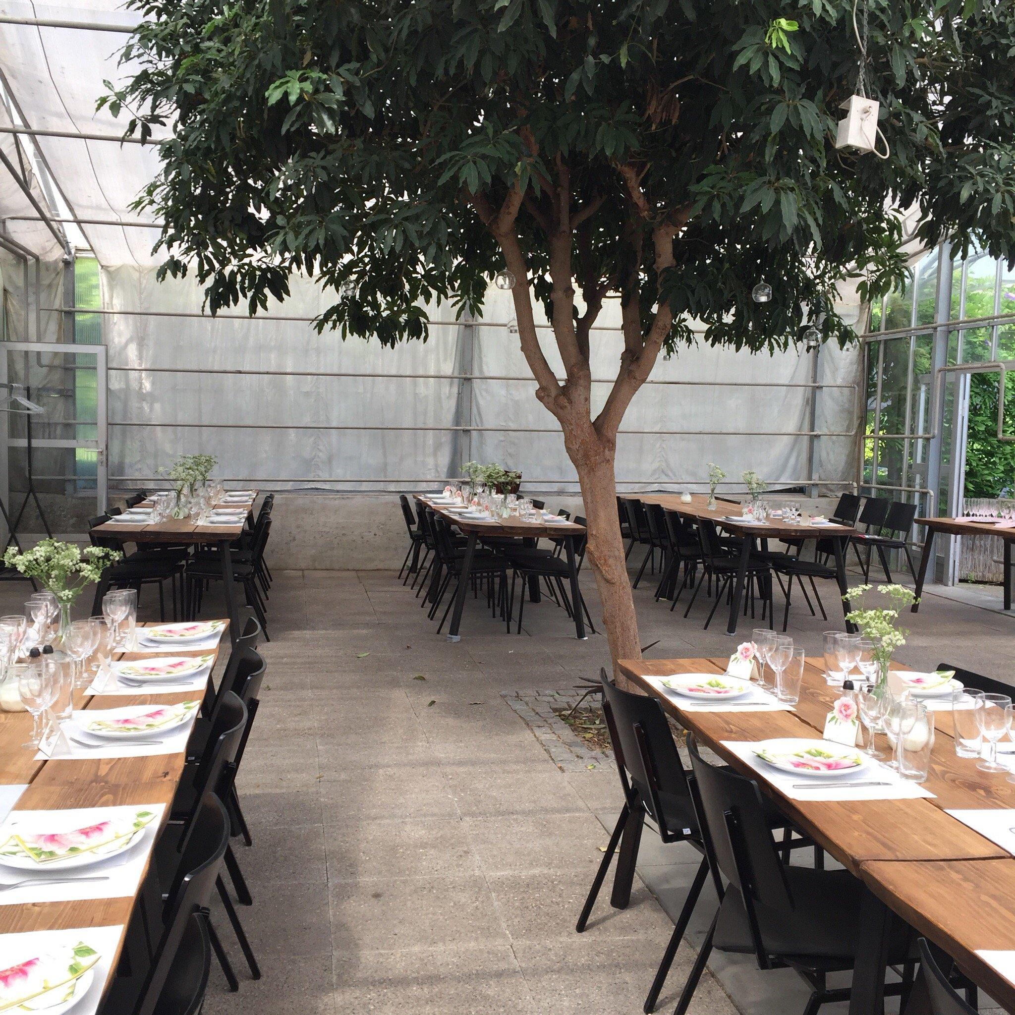 Den Gamle Have Frederiksdal