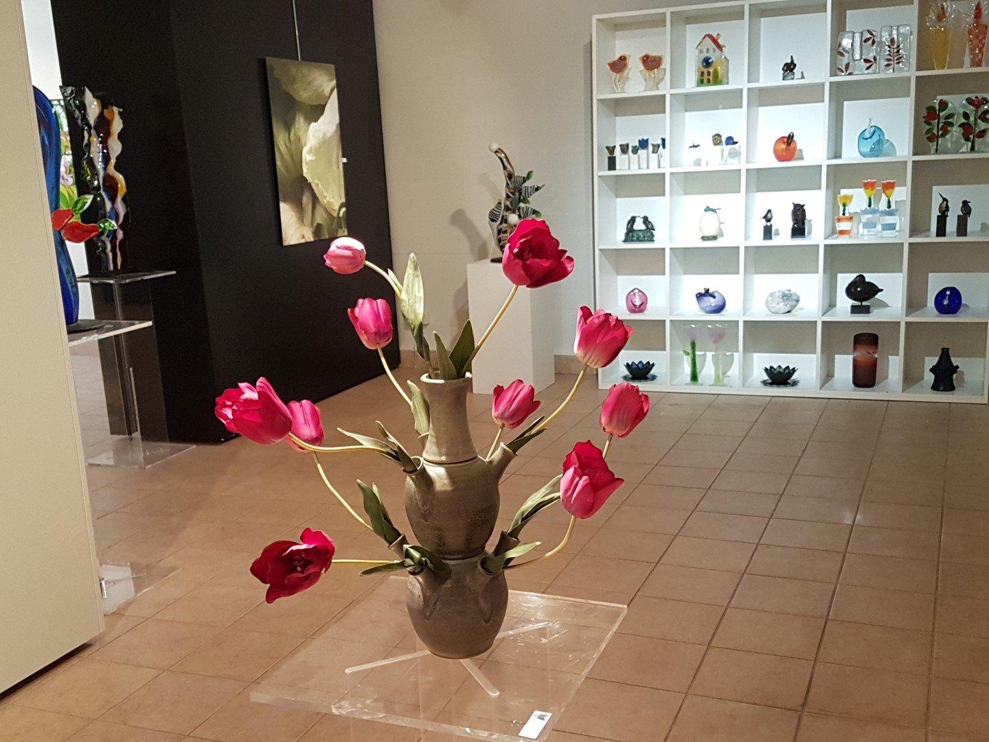 Photo by visservanklaarwater