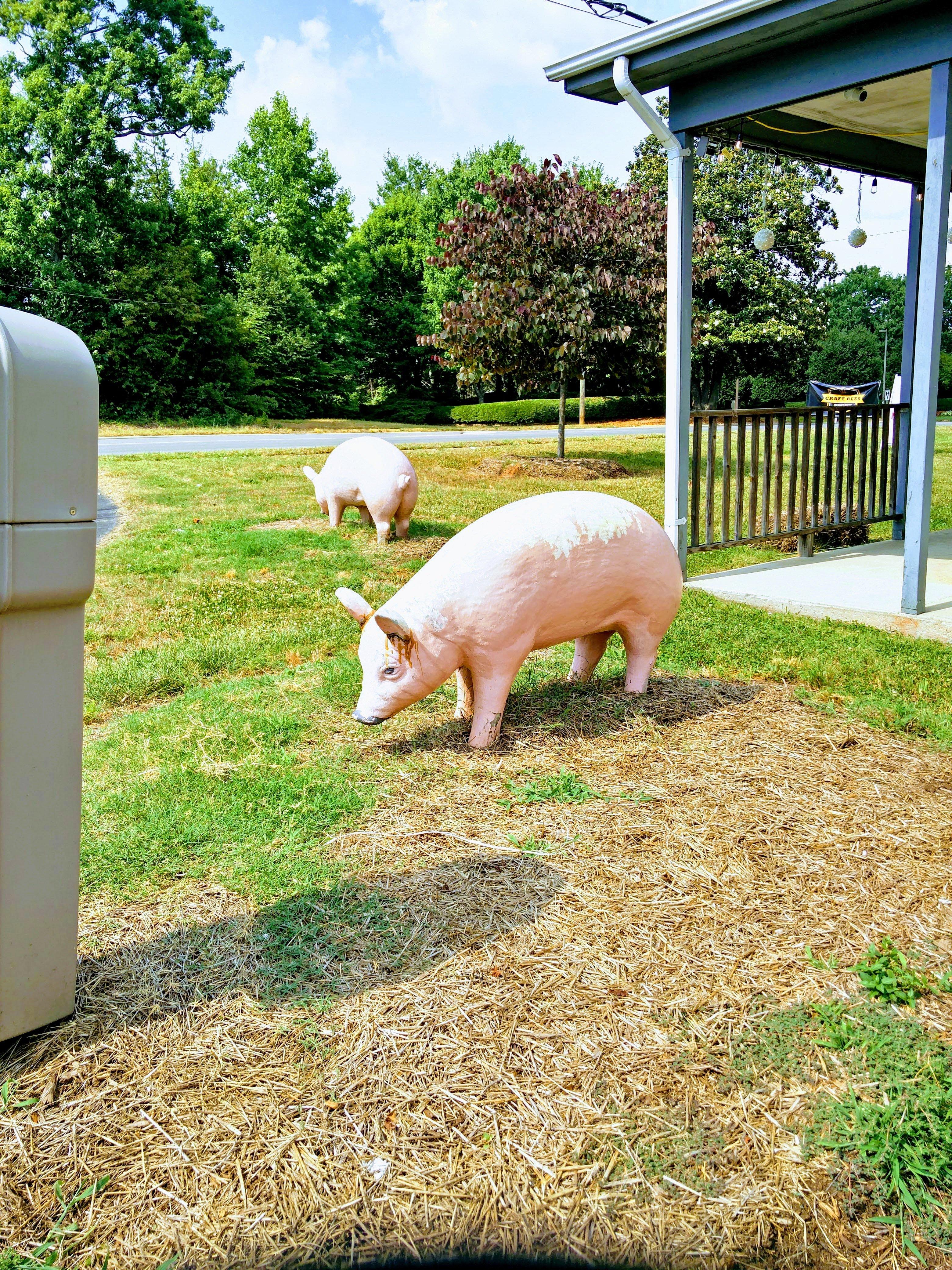 Photo by munchkinkaty