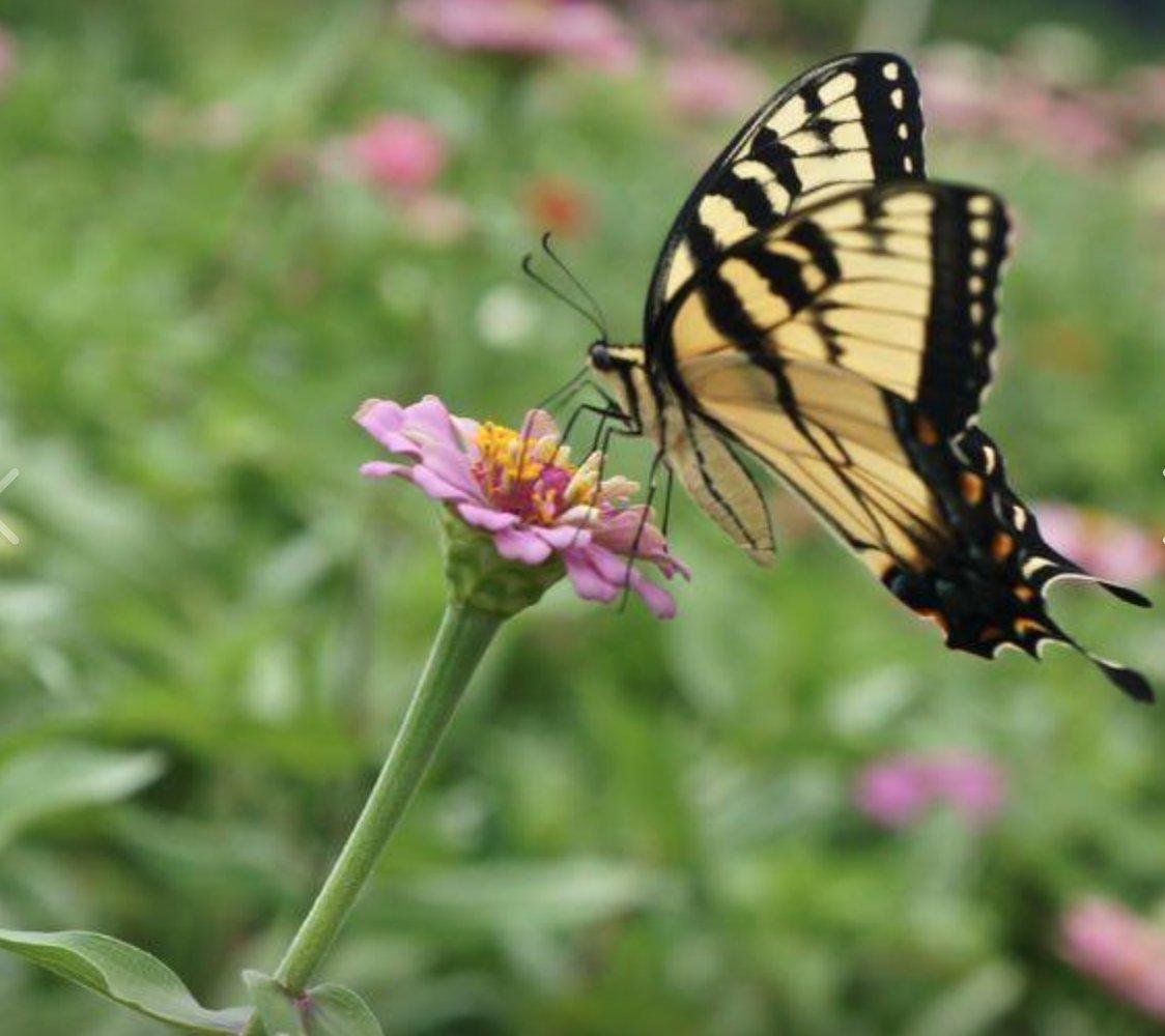 Photo by 768markc768