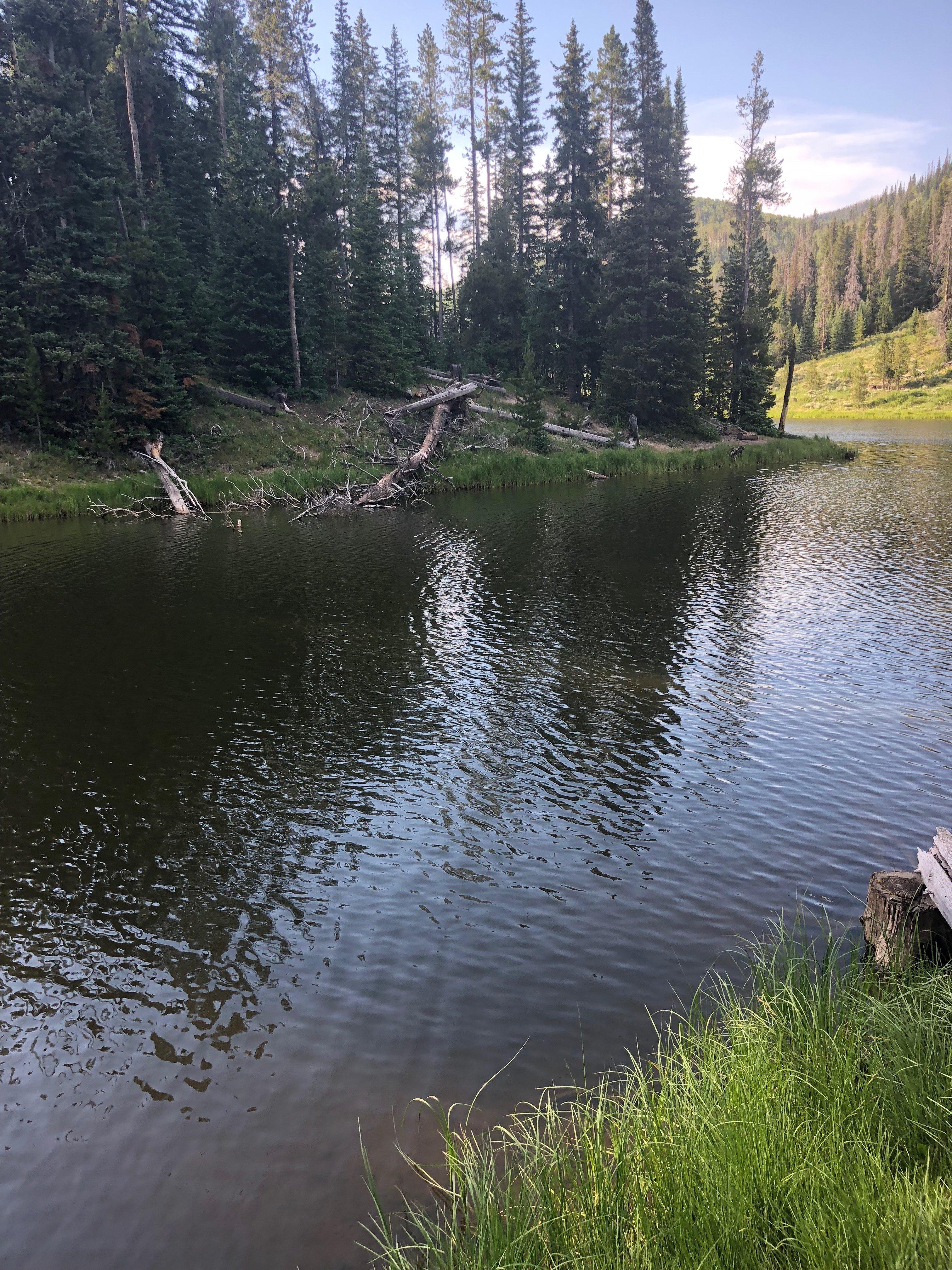 Hahns Peak Lake Campground