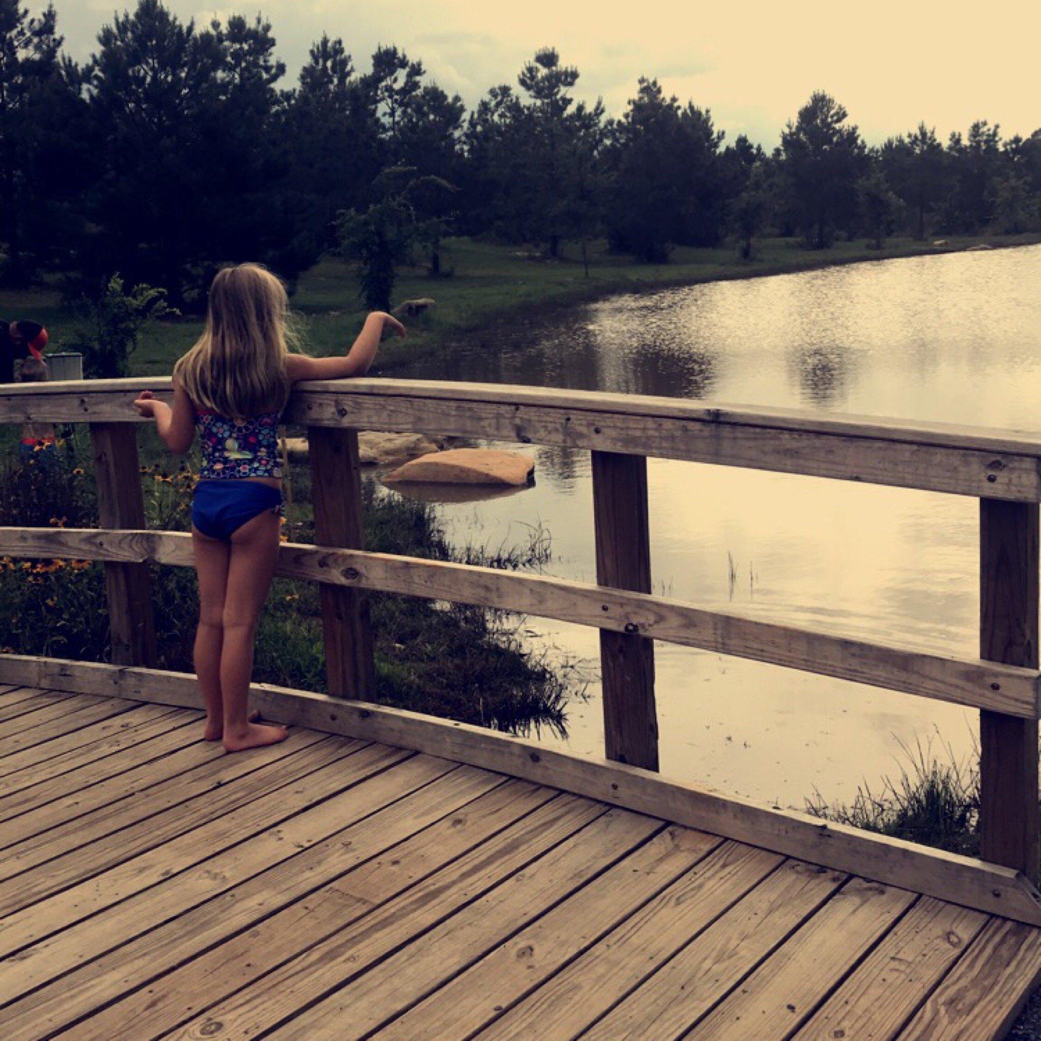 Photo by lovetotrip12