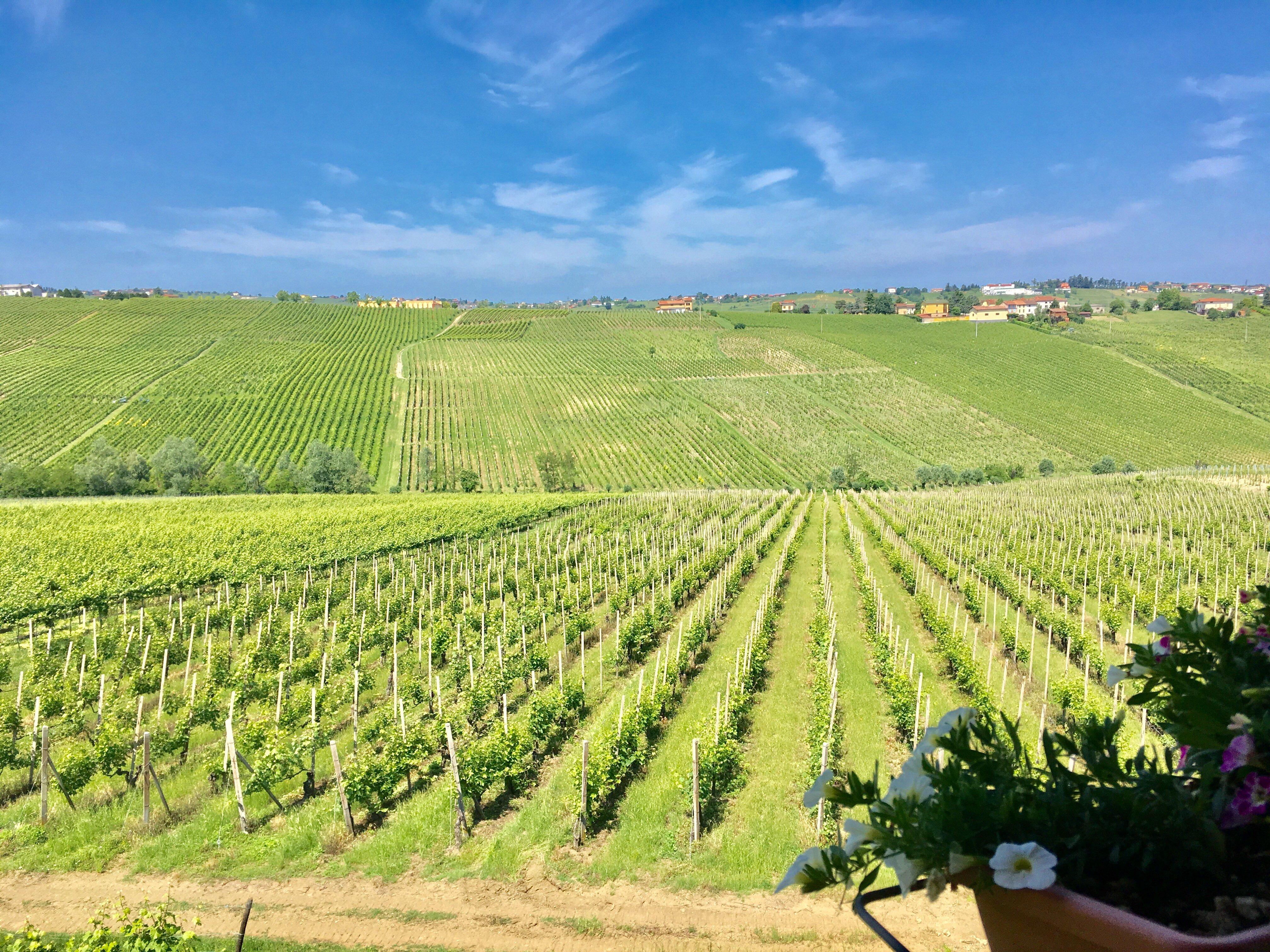 Azienda Agricola Lusenti