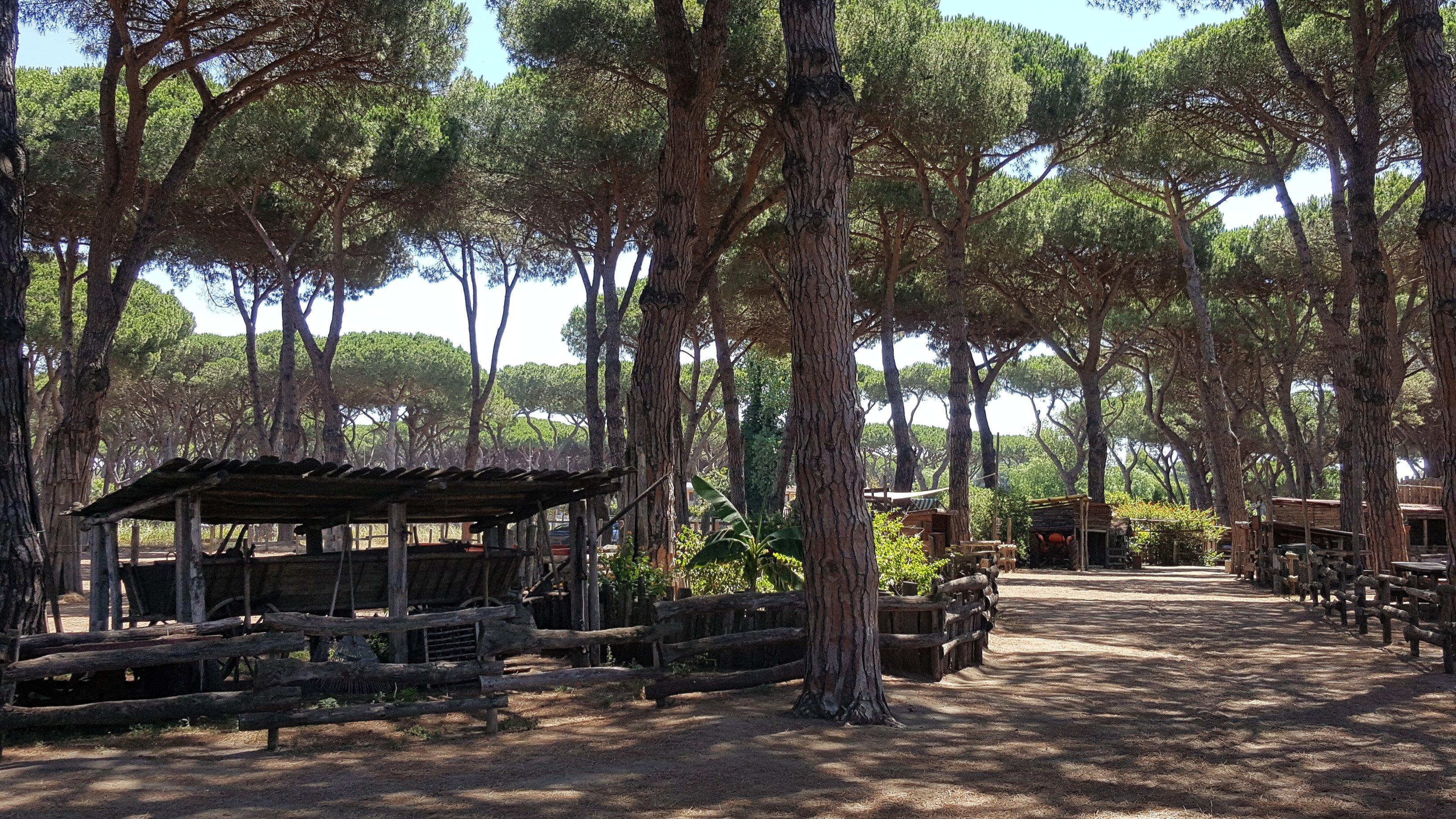 La Fattoria degli Animali