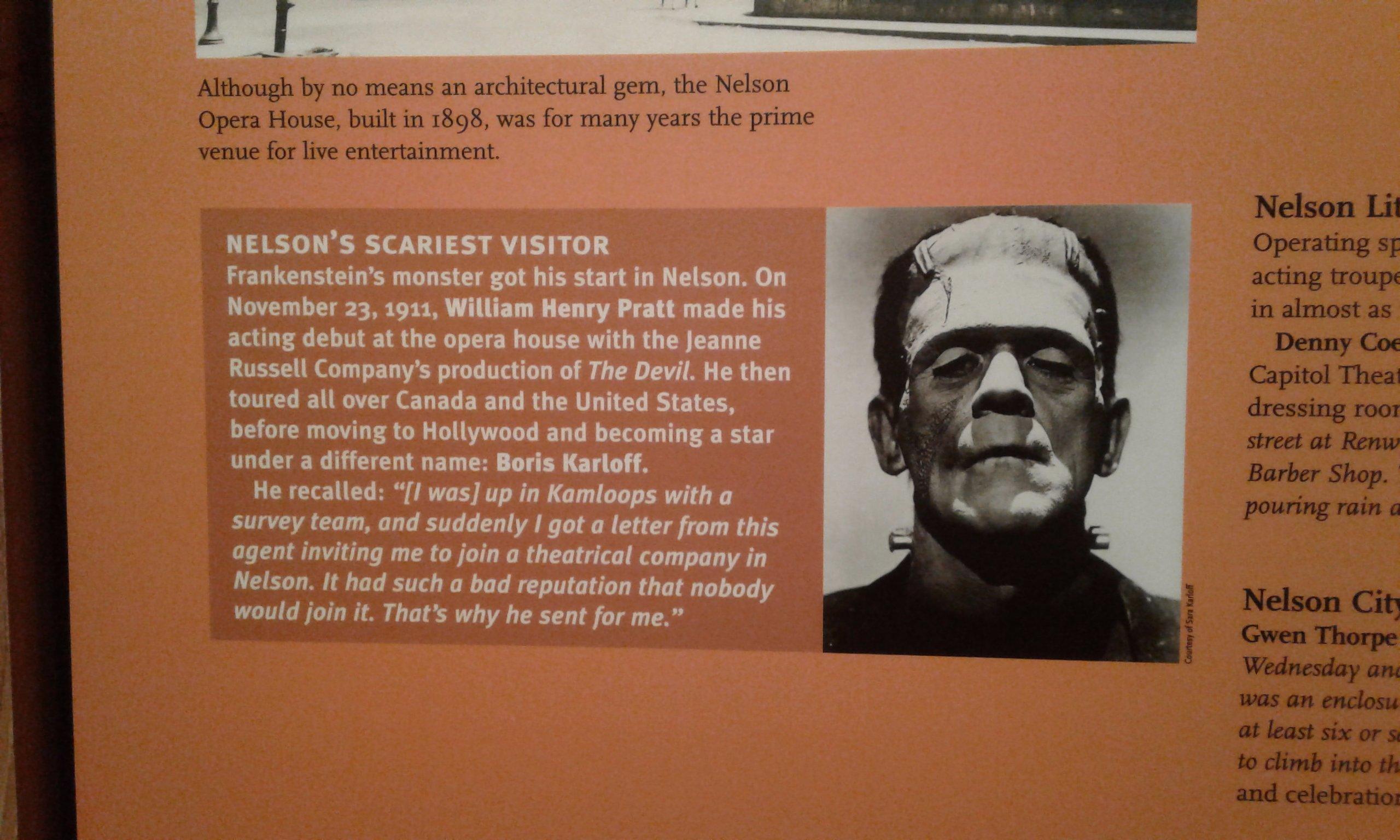 The Nelson Museum, Archives & Gallery
