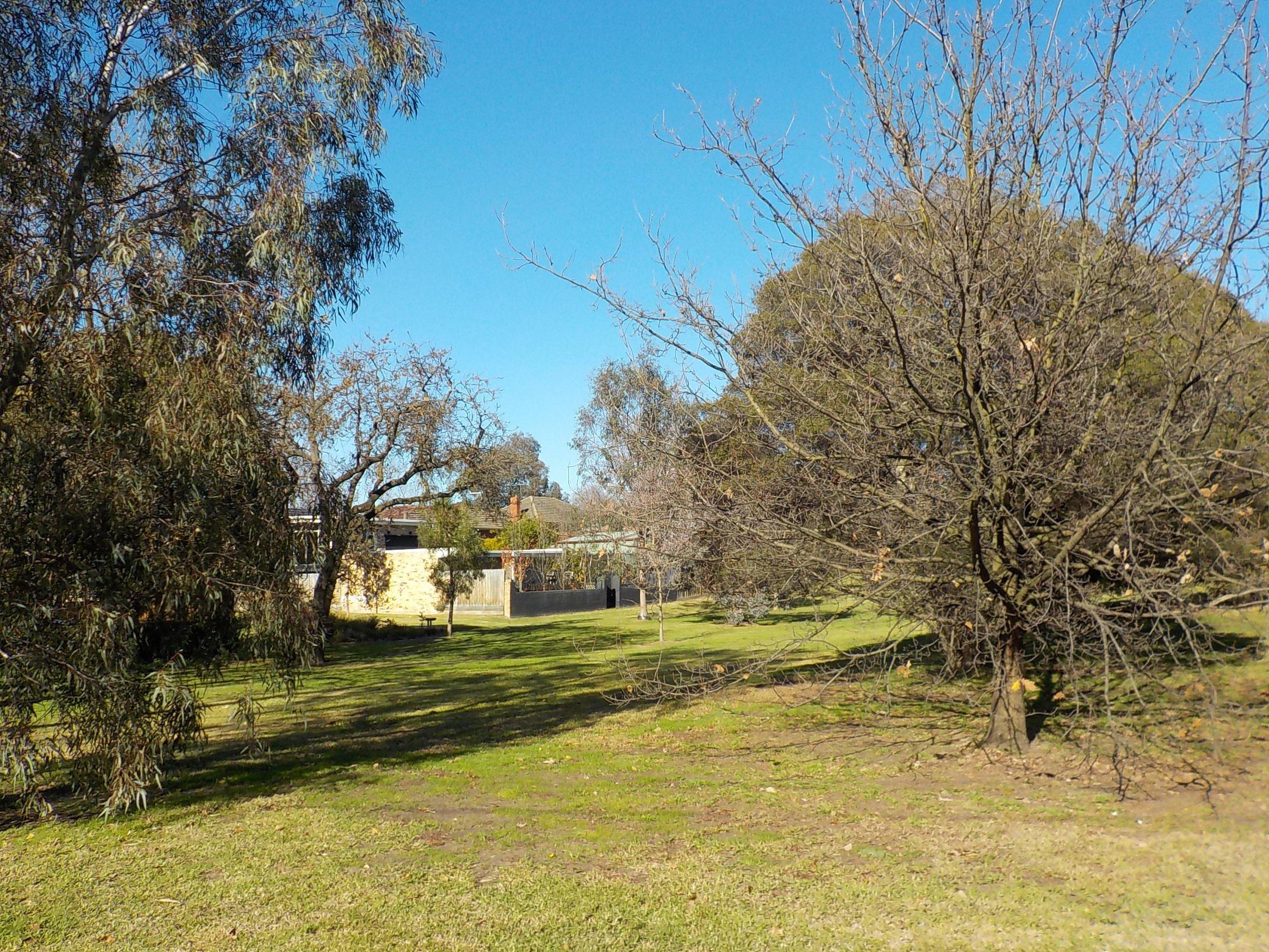 Photo by platypus150