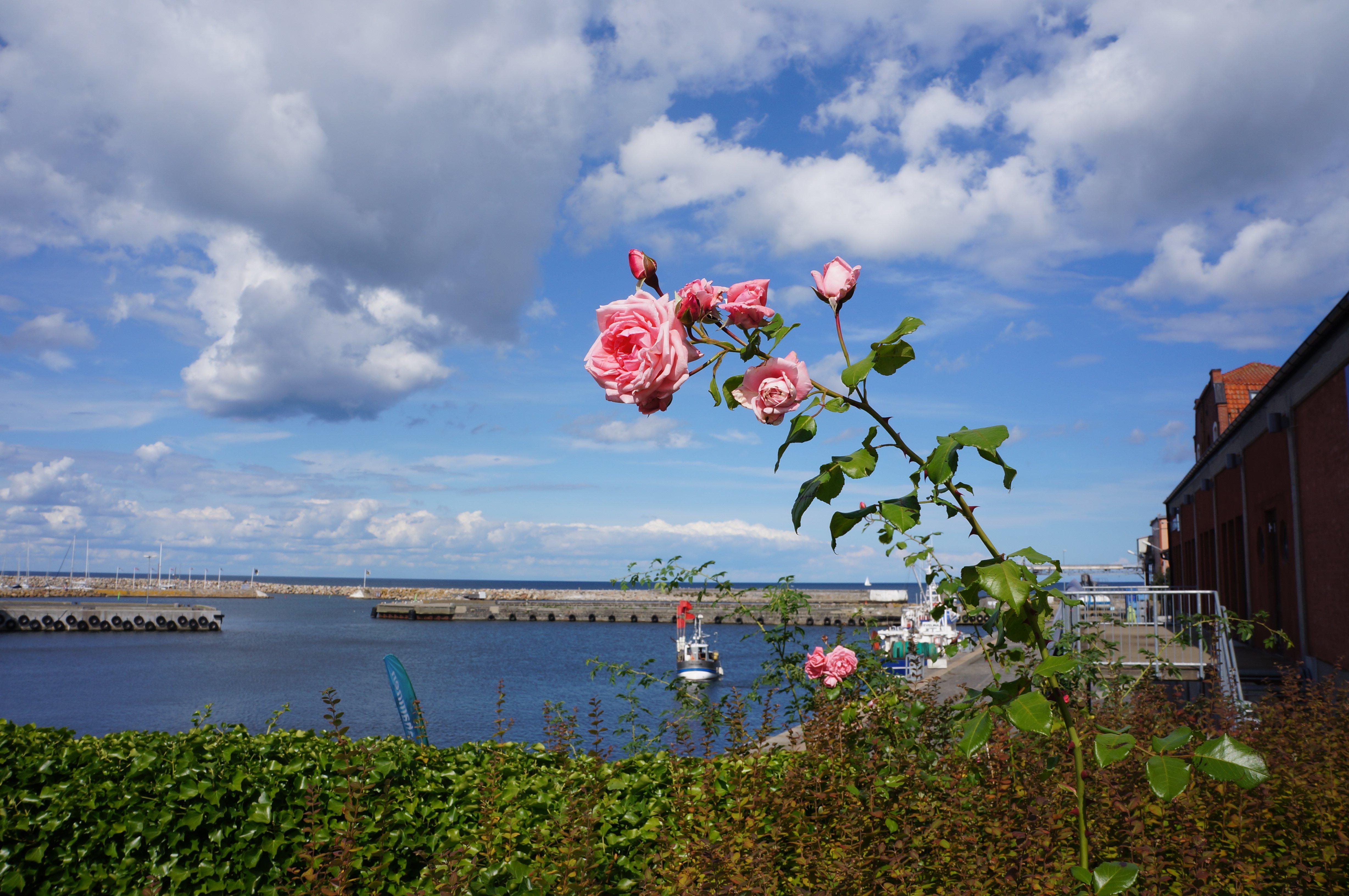 Photo by SimTuristcenter