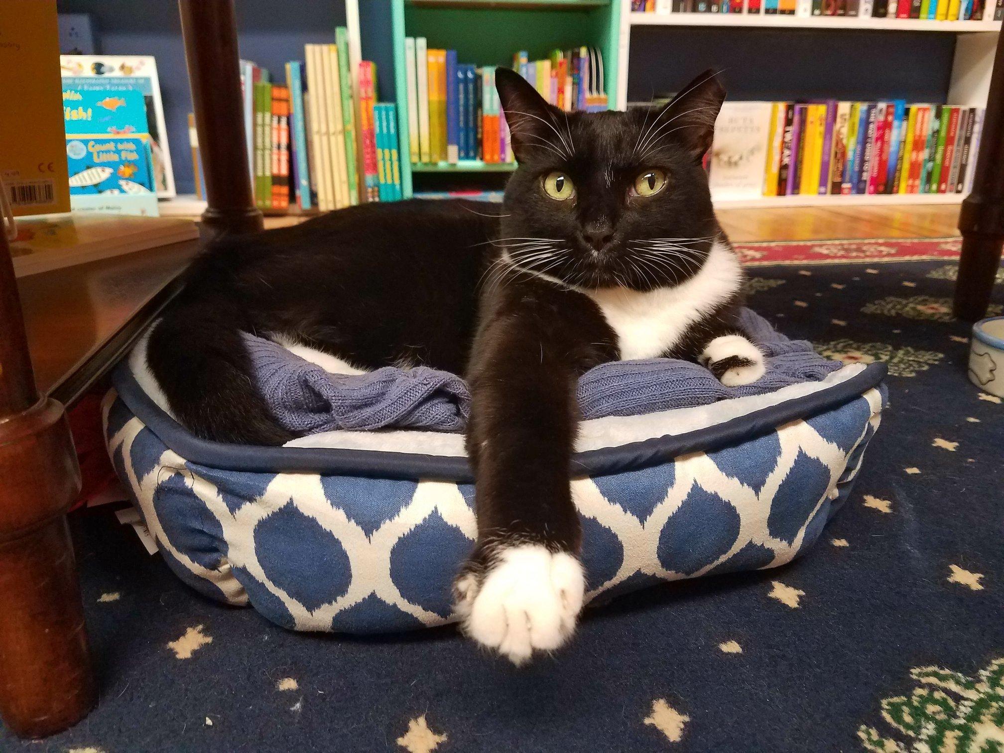 MacIntosh Books + Paper