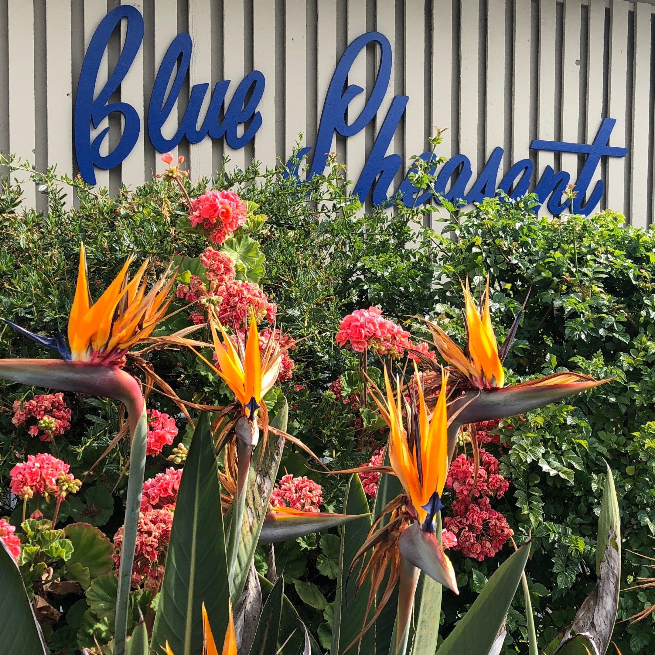 Blue Pheasant Restaurant