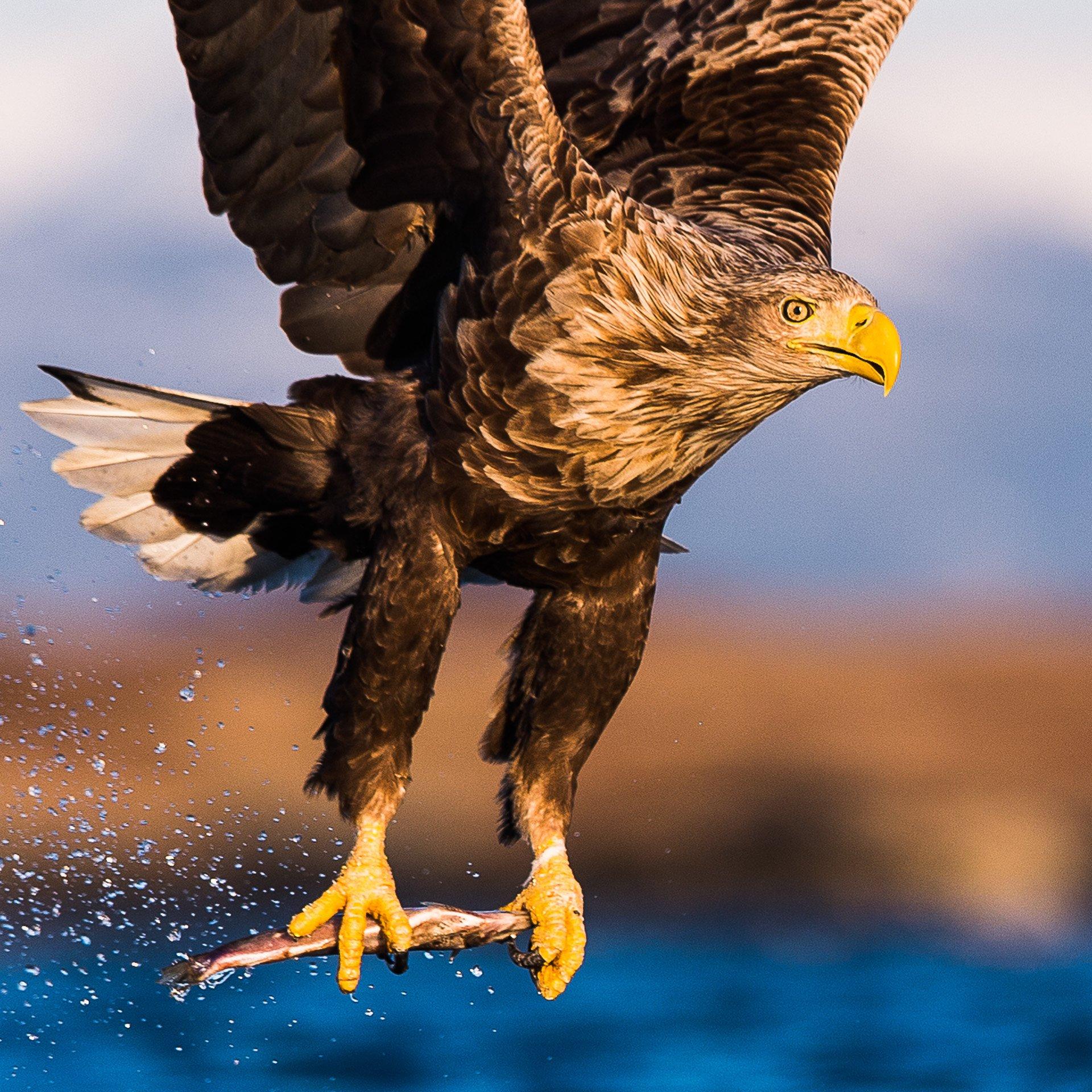 Smøla Naturopplevelser