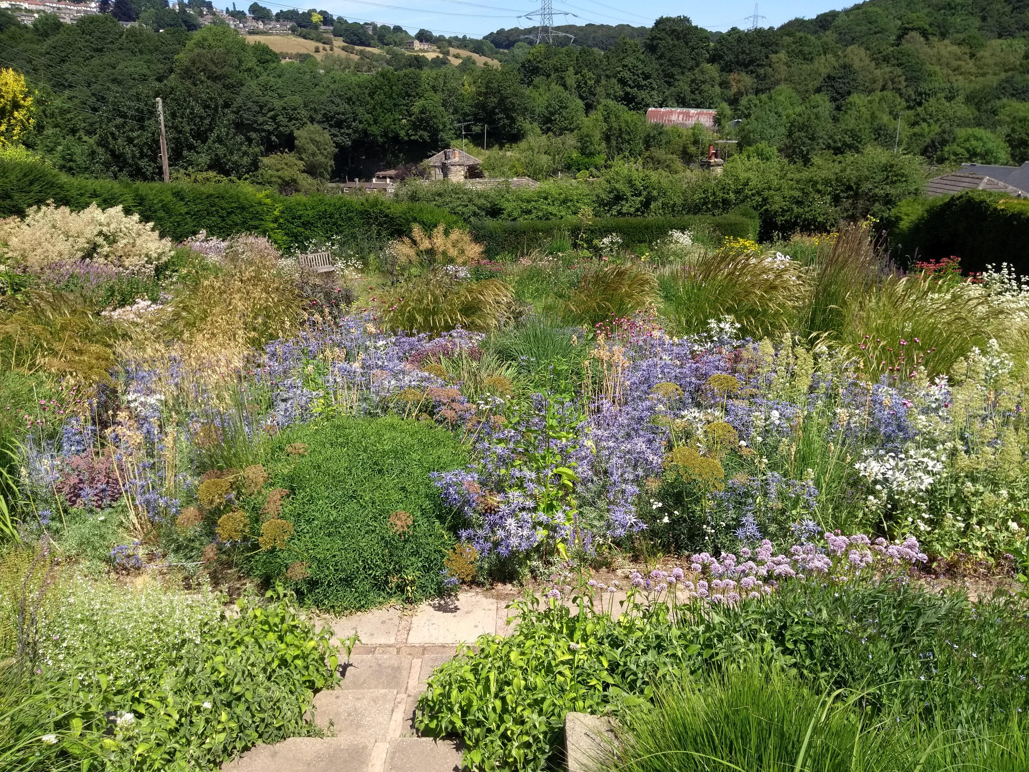 Dove Cottage Nursery and Garden