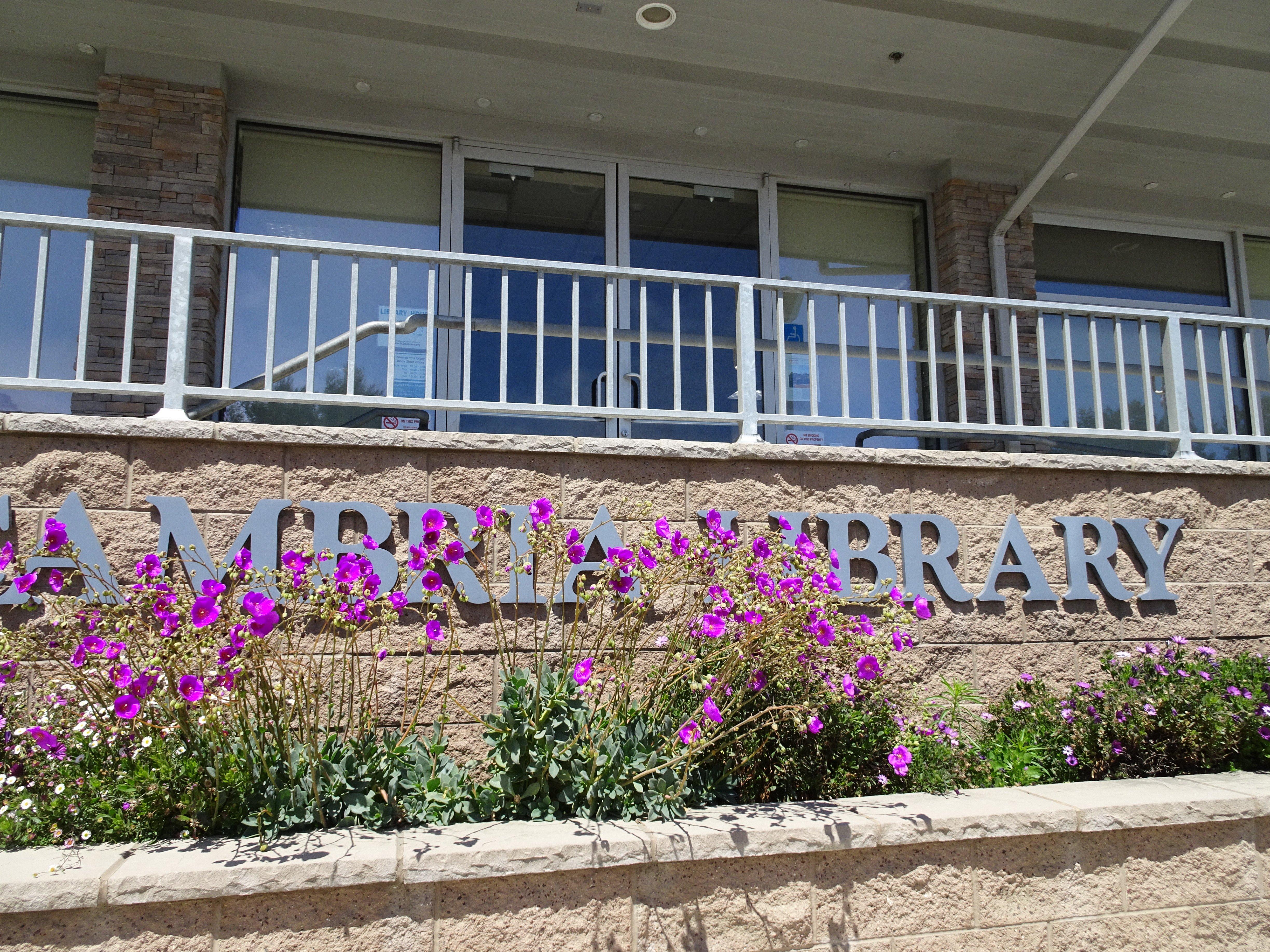 Photo by on_the_go_98765