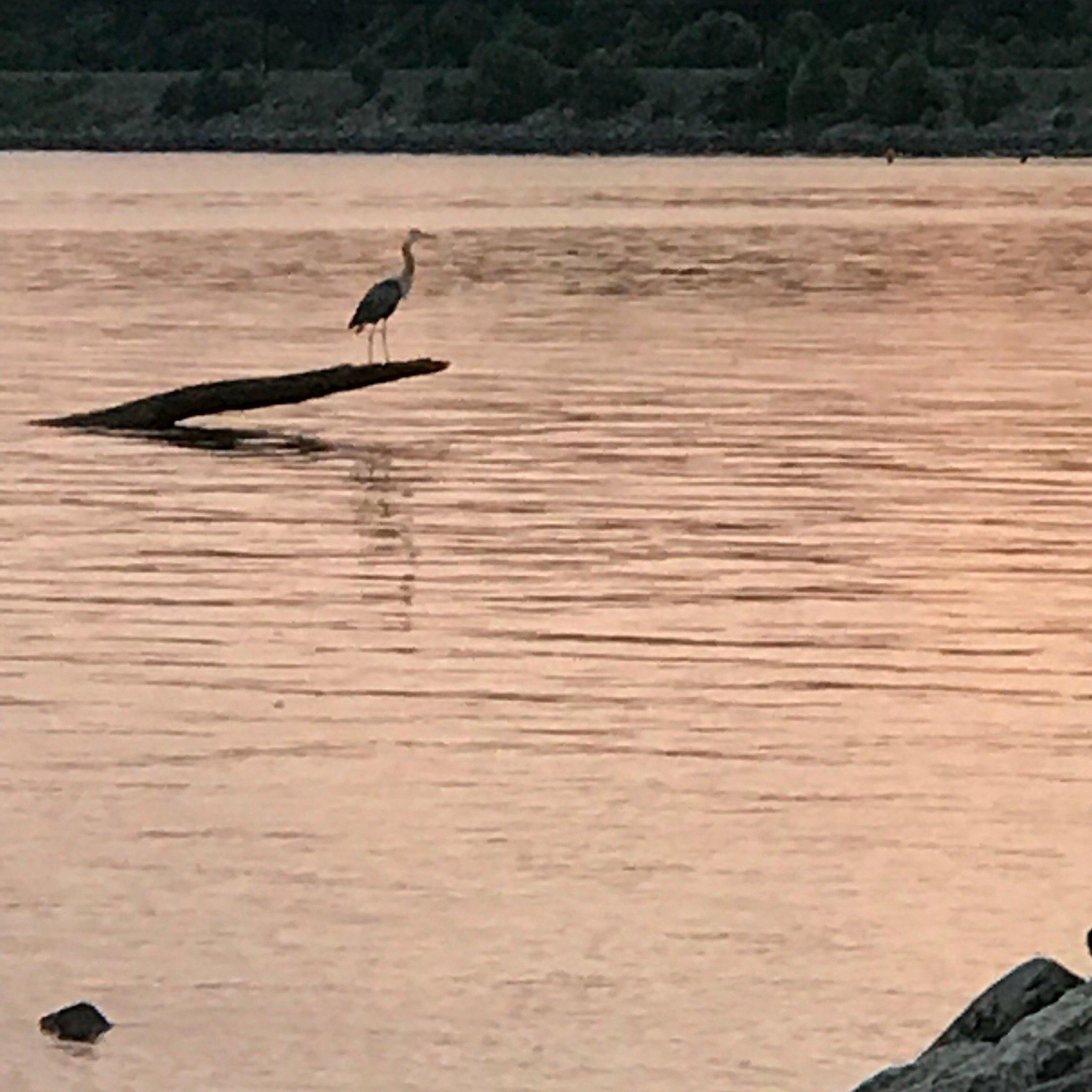 North East Community Park