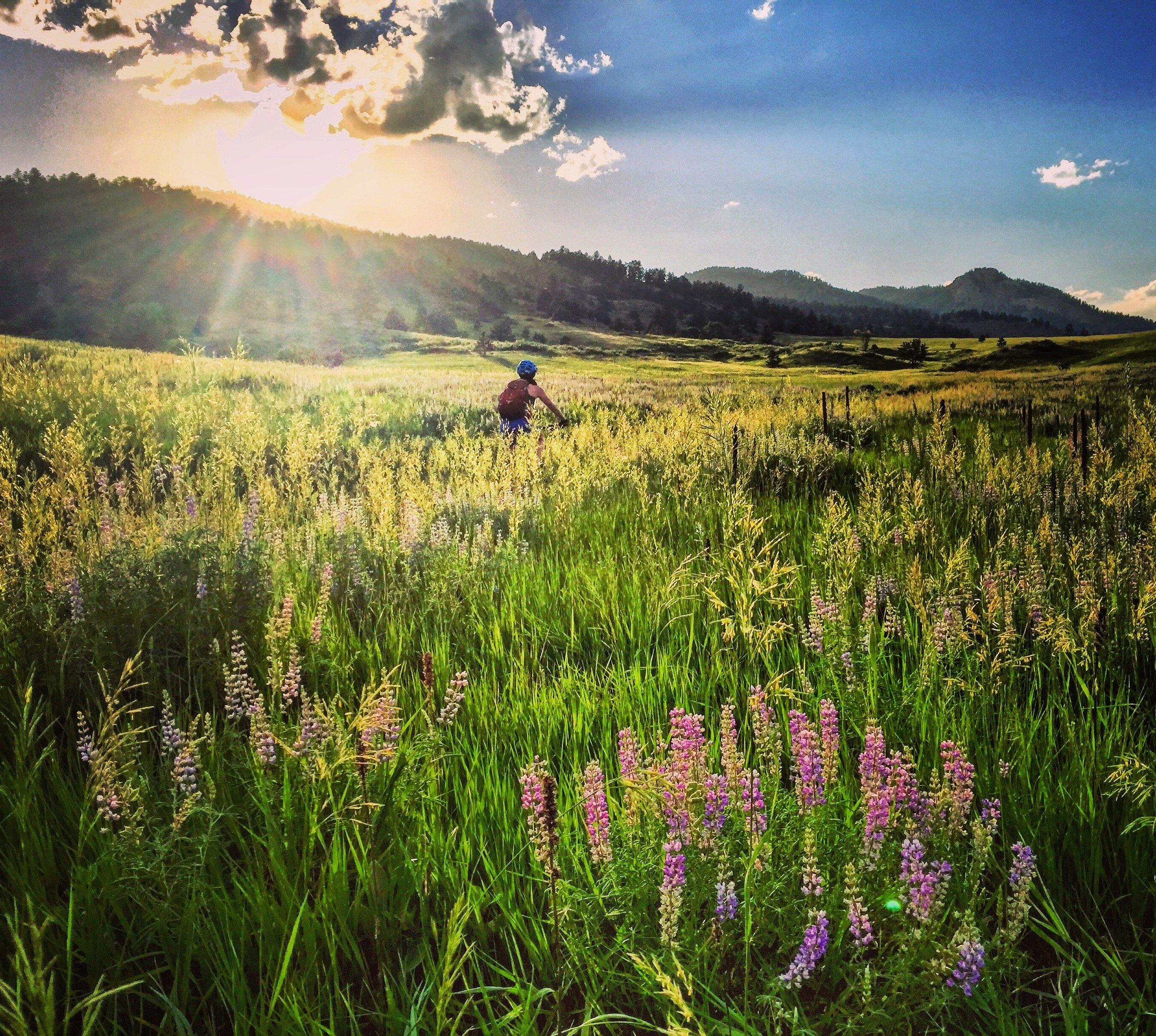 Front Range Ride Guides Ltd. - Day Tours