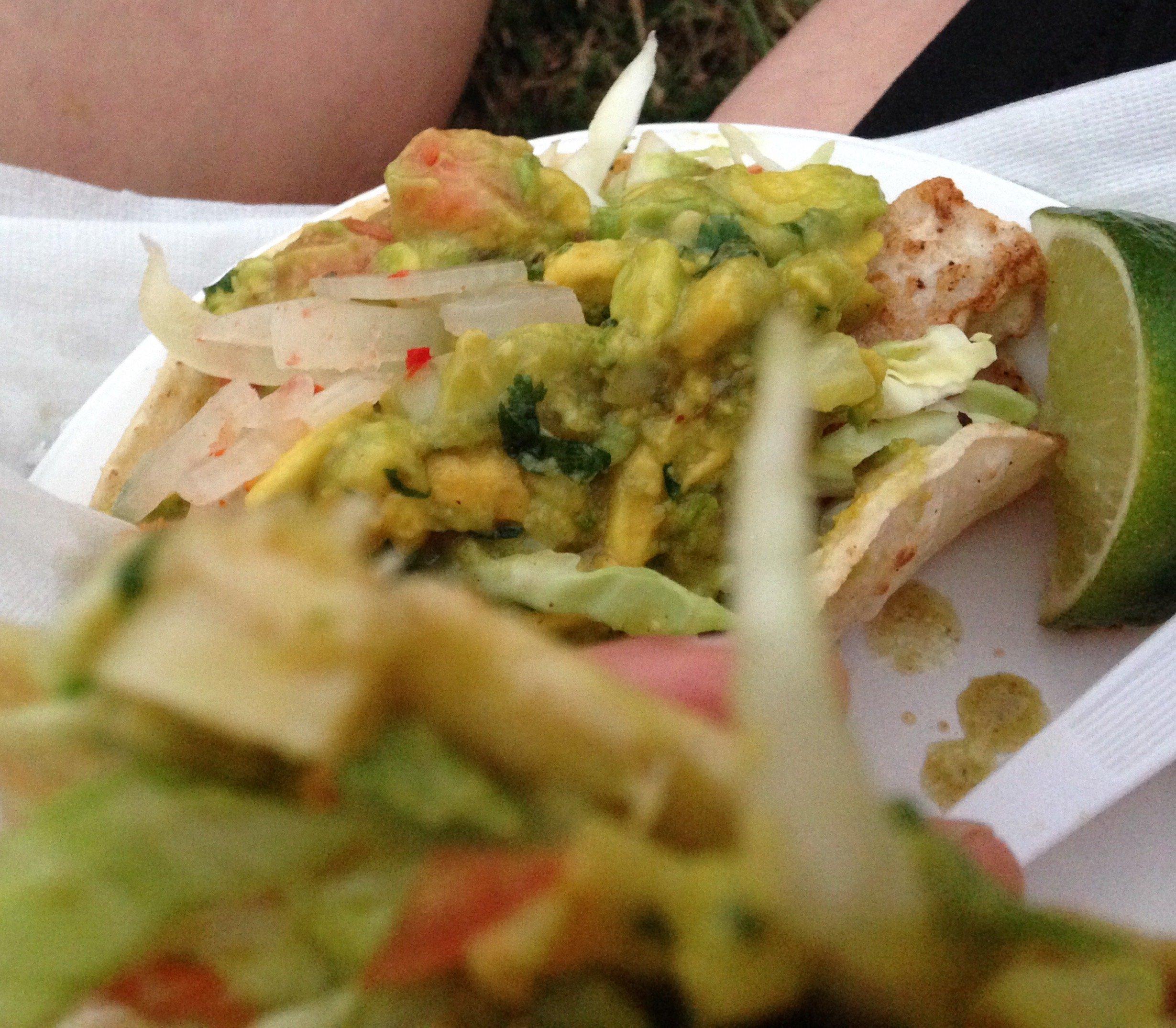 Photo by KatikaOttawa