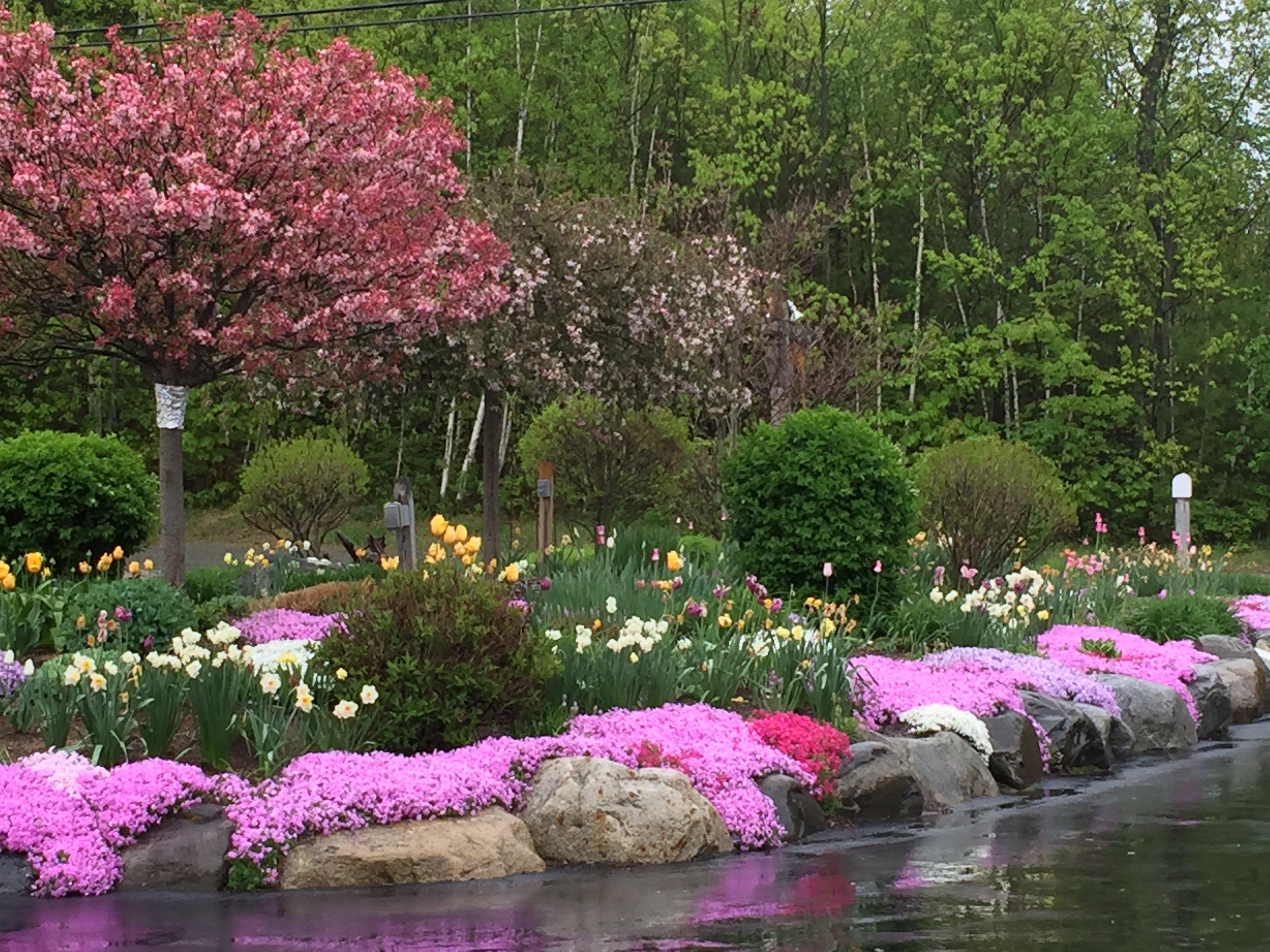 The Roost Bed & Breakfast