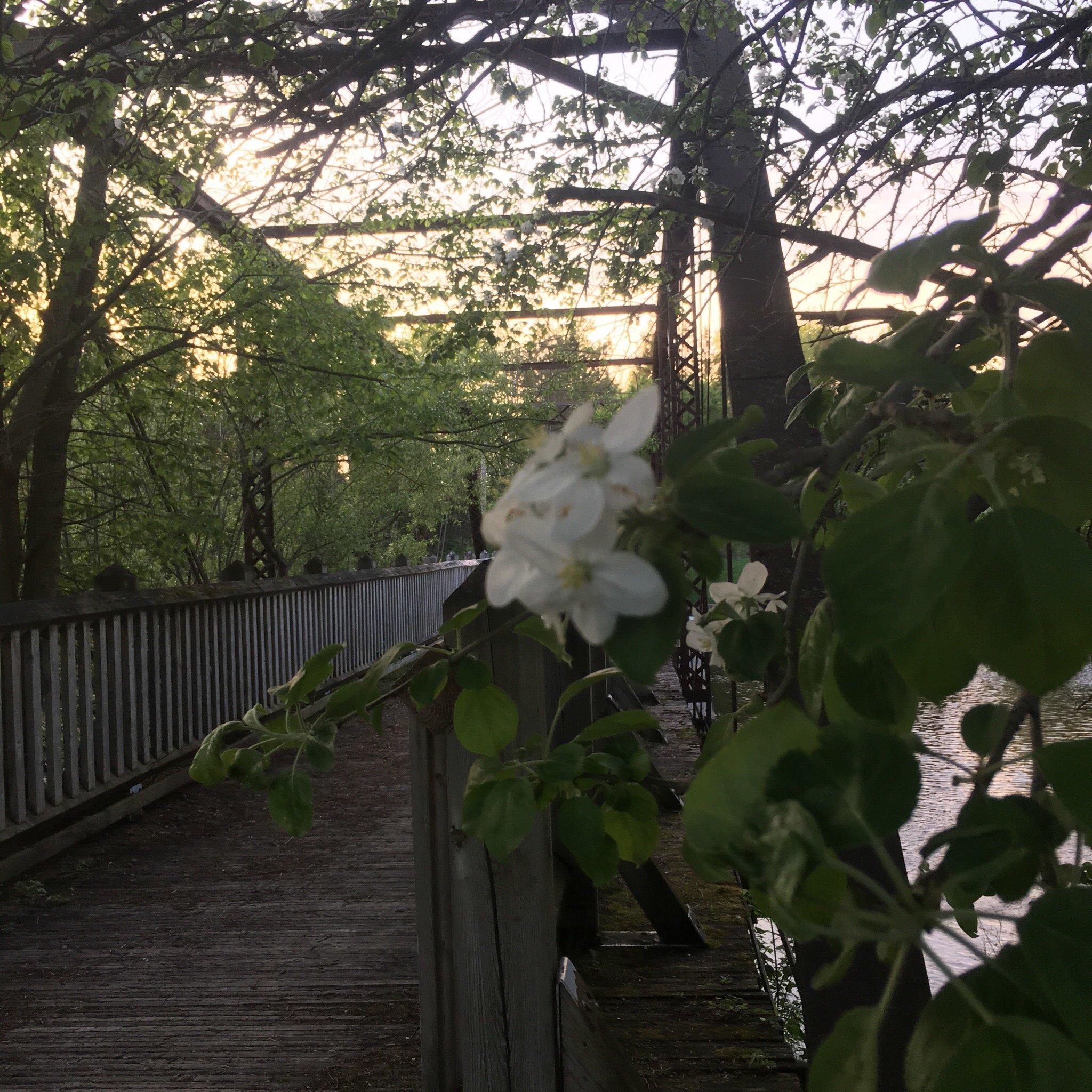 The Colonel's Rest Bed & Breakfast